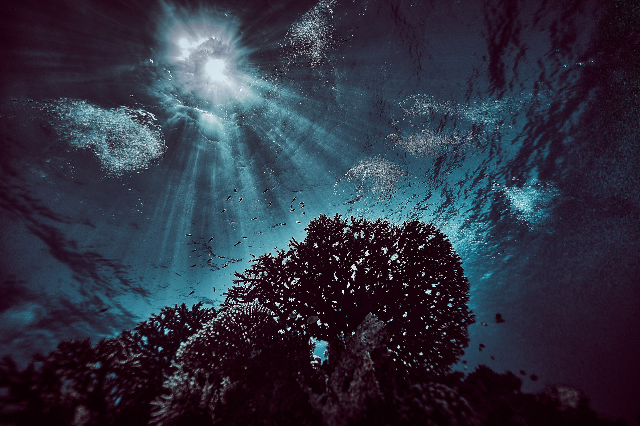 Podwodny fotograf - Andriej Szypilow - underwater photography. Tajemnica - wielka, głęboka i wszechobecna - to jest ta jakość, której przede wszystkim szukam w fotografii podwodnej...