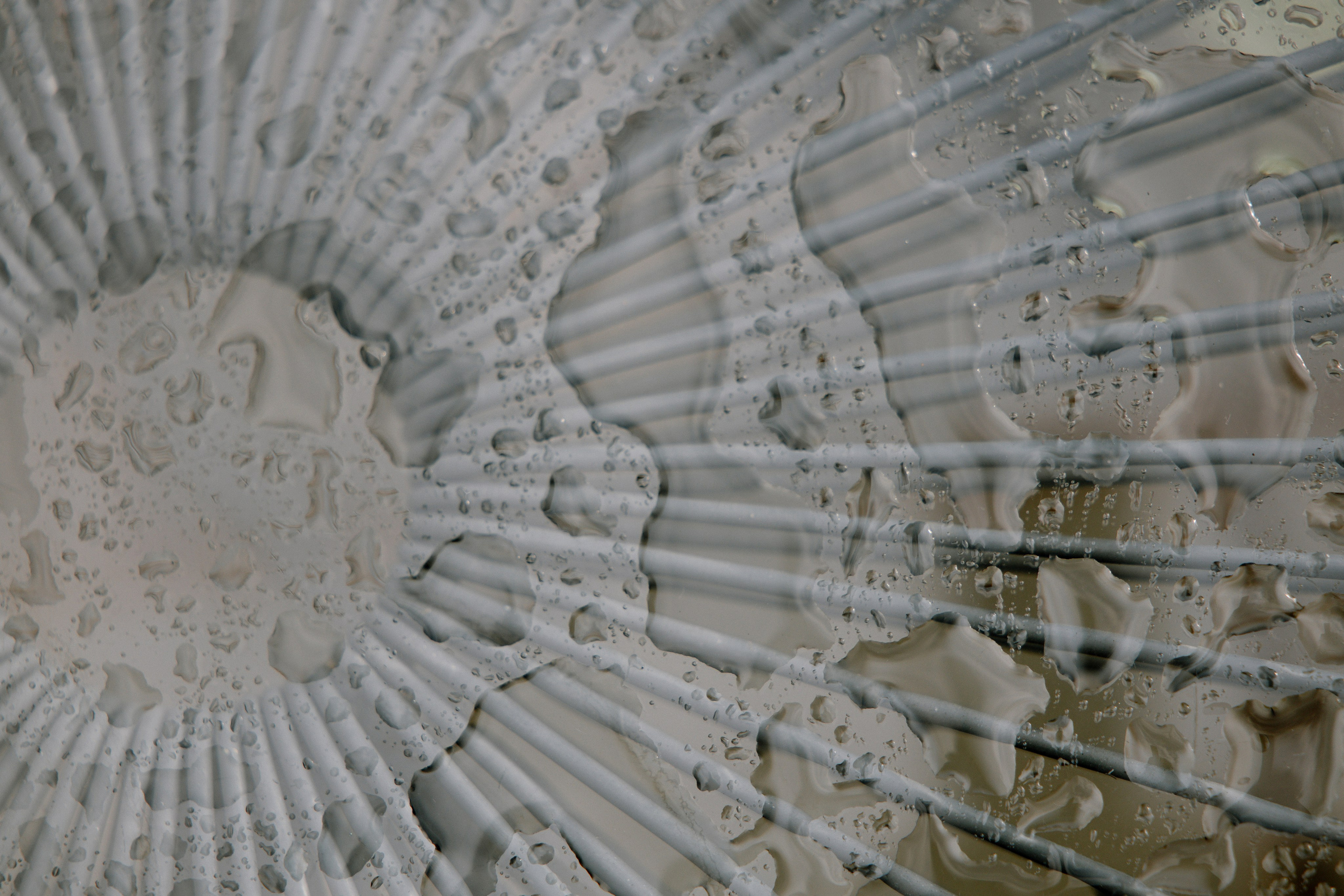 Intimate and emotional wedding. Timeless Wedding & Event Photography — based London, working across Europe