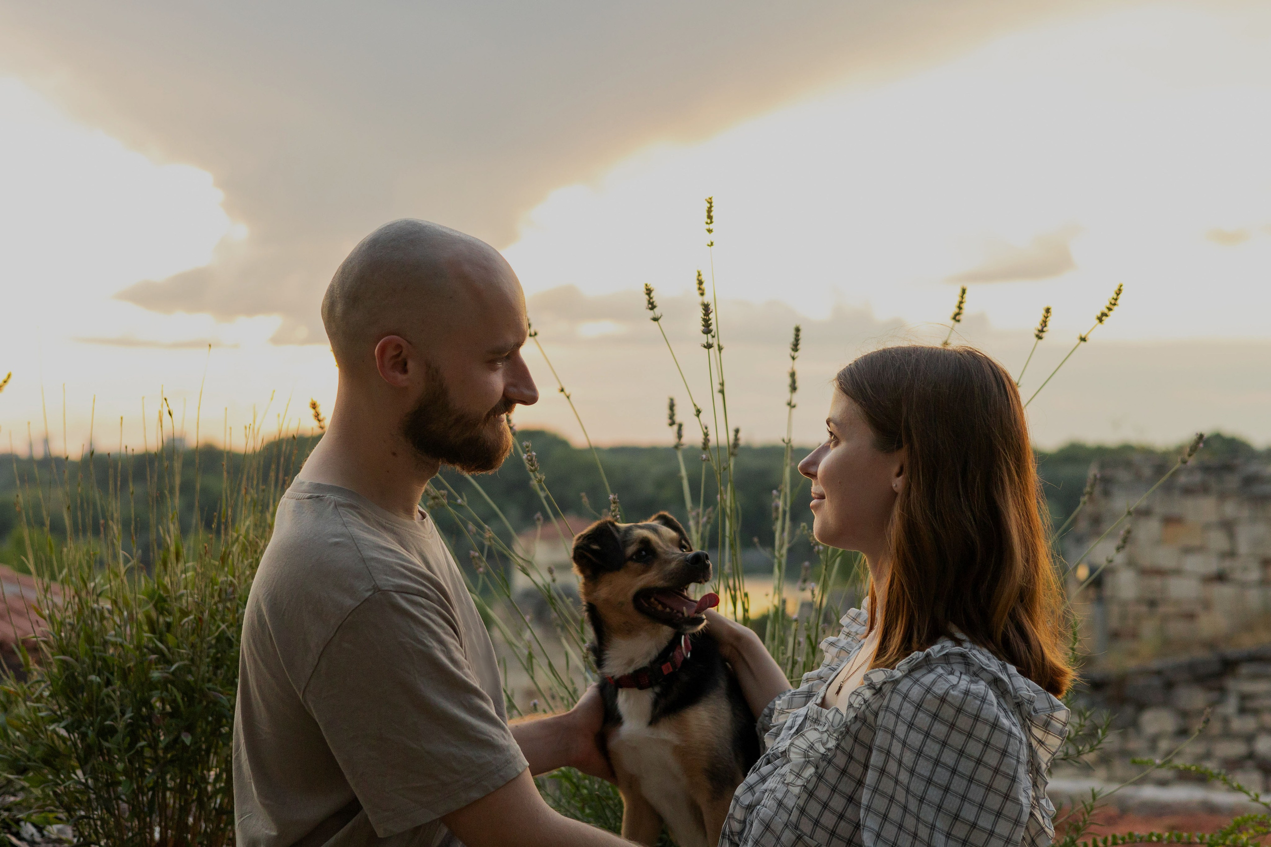 Фотограф-анималист | Белград