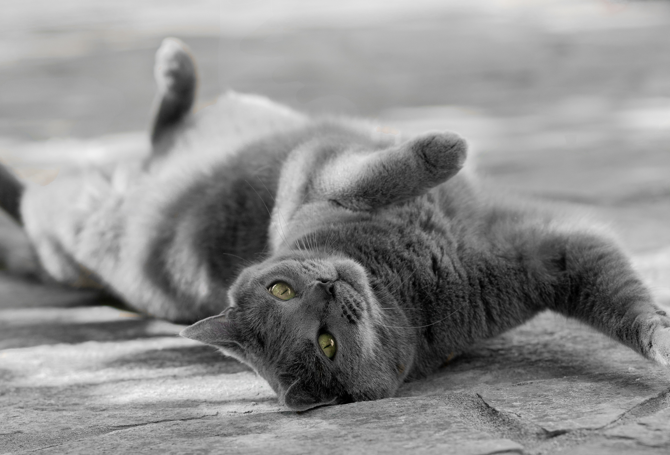 En famille. Ekaterina Brevet - photographe de mariage