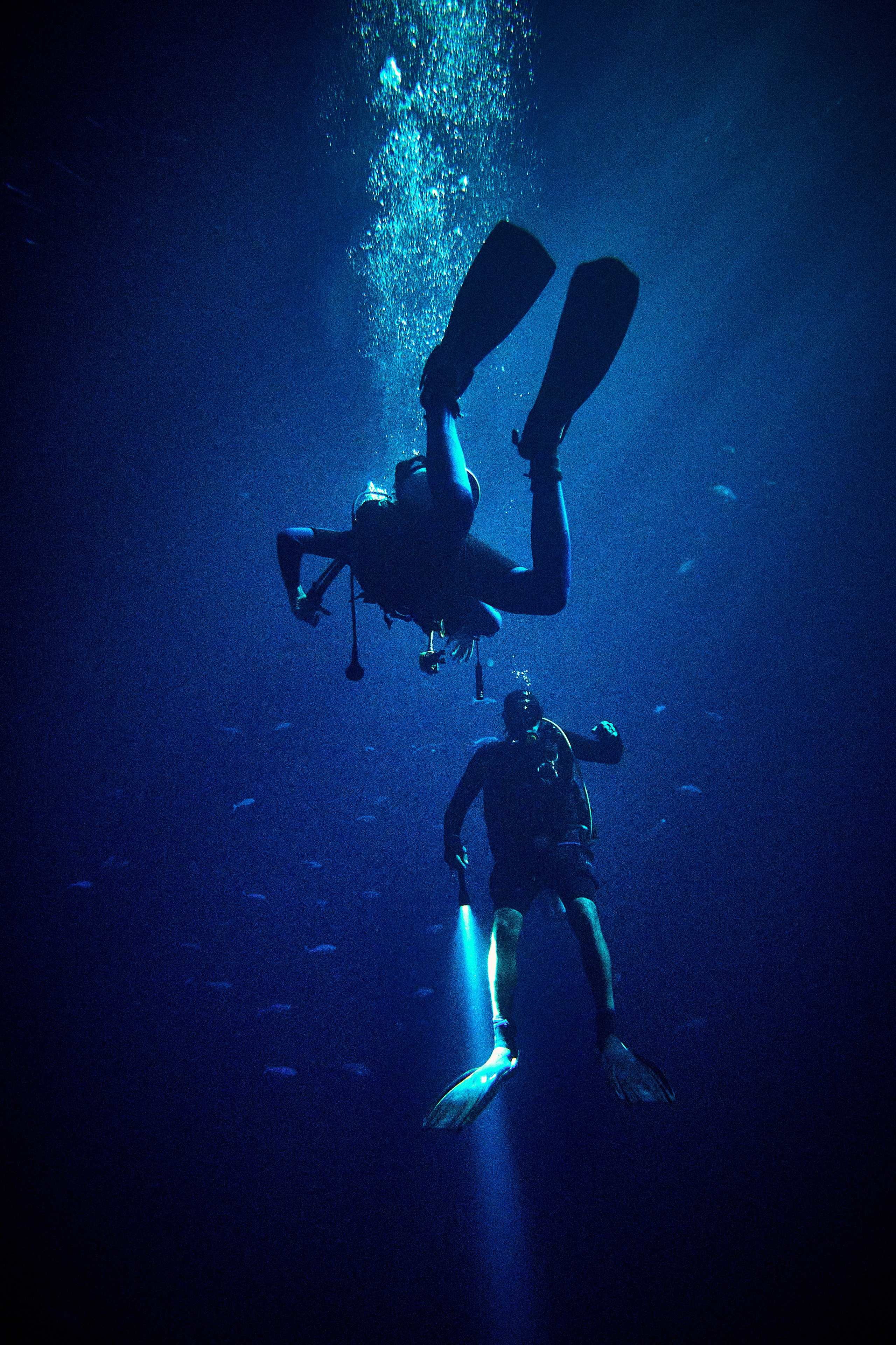 Podwodny fotograf - Andriej Szypilow - underwater photography. Tajemnica - wielka, głęboka i wszechobecna - to jest ta jakość, której przede wszystkim szukam w fotografii podwodnej...