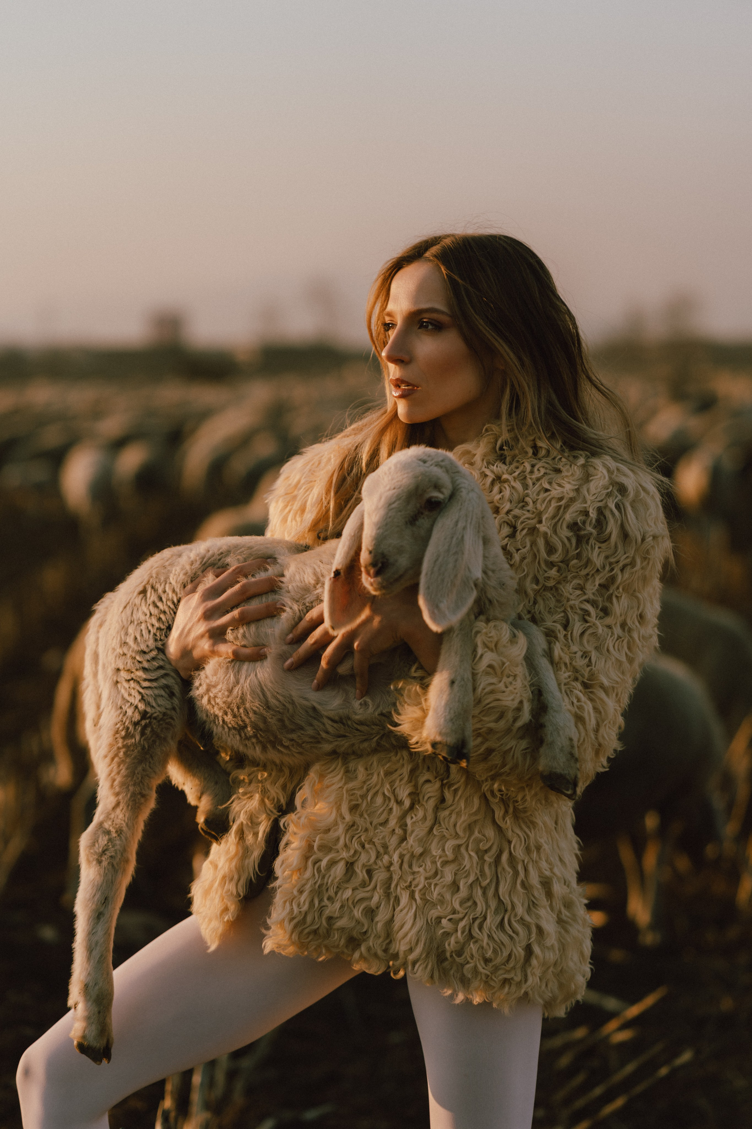 A thousand sheeps. Diana Fedrigo | Fotografa matrimoni in Italia