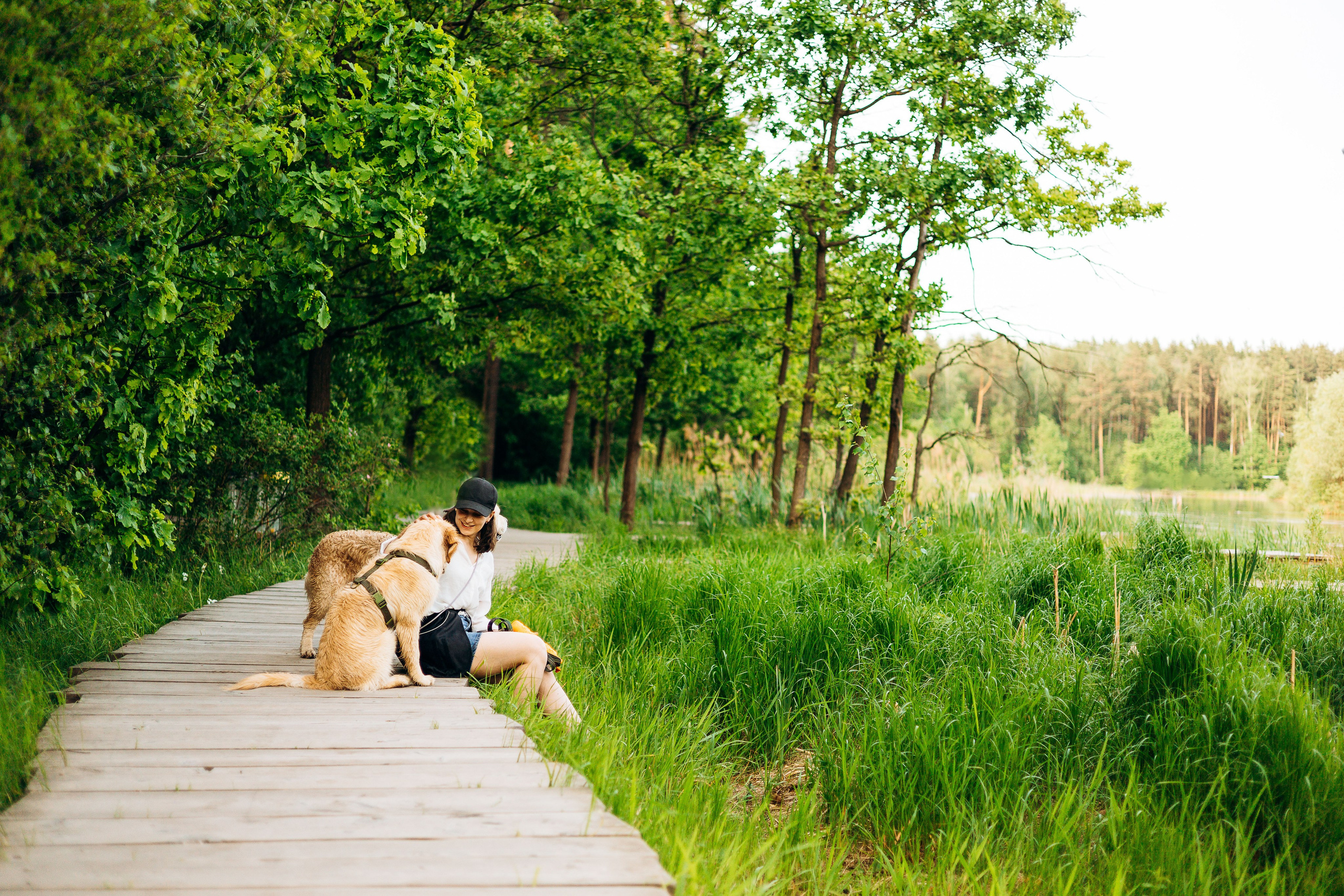 Фотограф-анималист | Белград