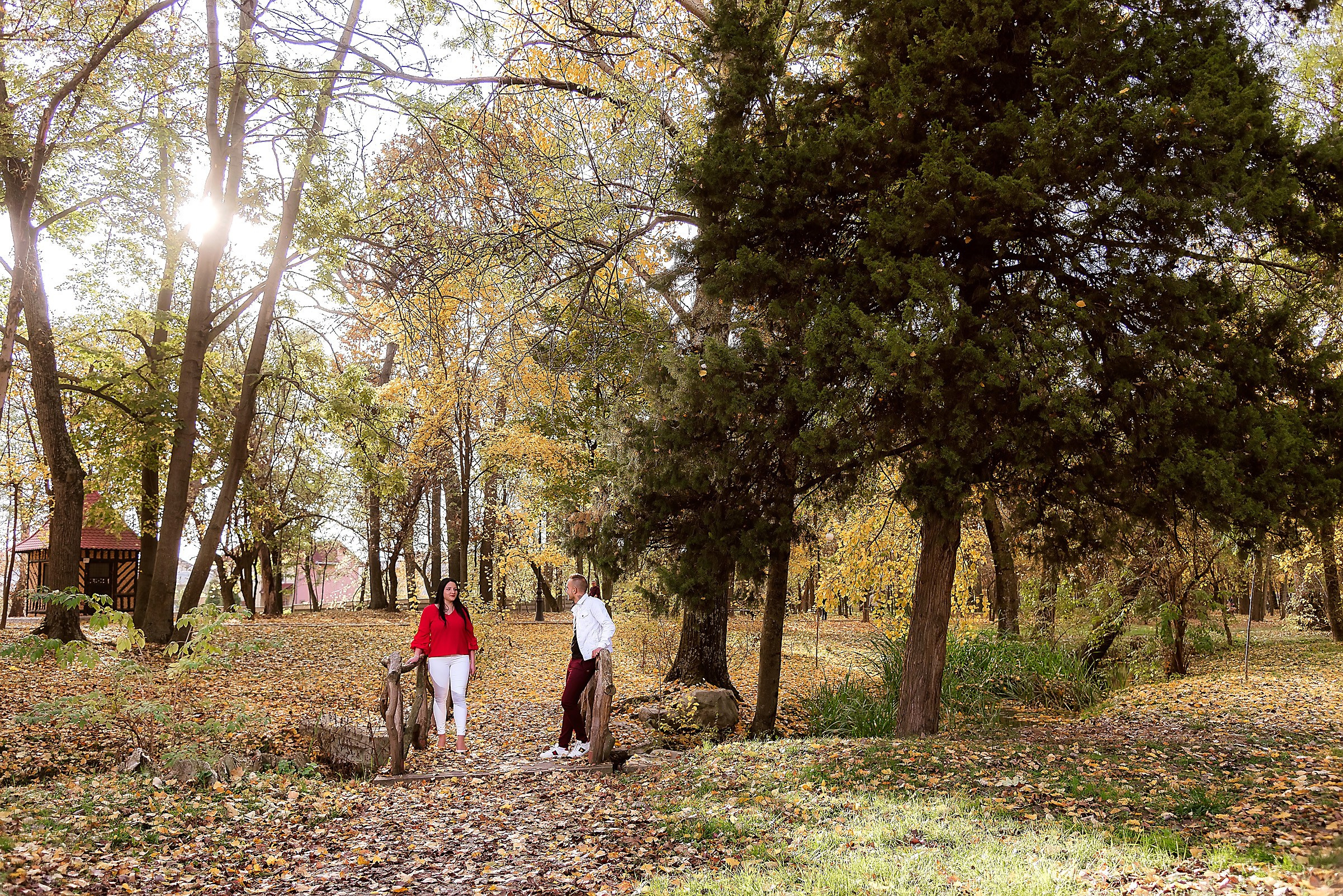 Fotograf Nunta Save The Date Craiova Pitesti 2024
