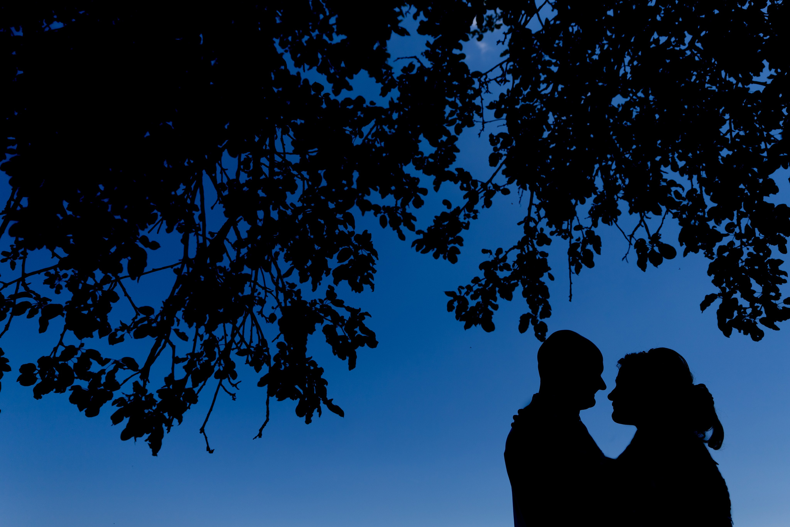 Nuntă Vlad și Cătălina. Fotograf de nuntă Balint Zsolt