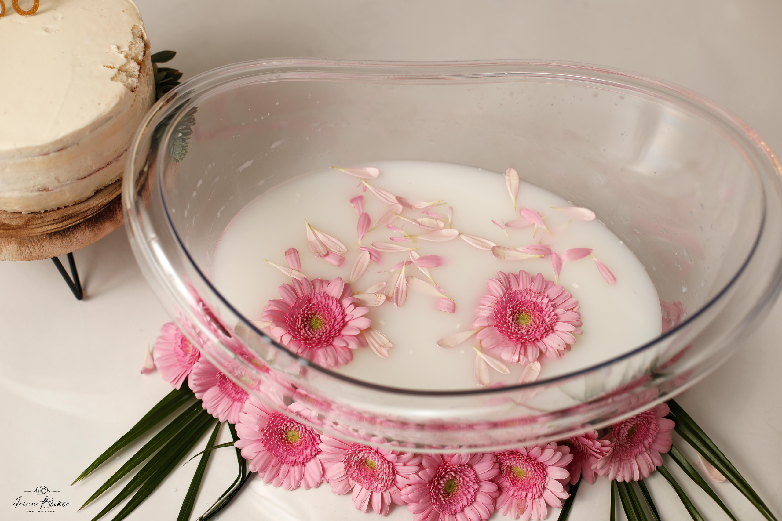 cake-smash ulm, cake-smash stuttgart, cake-smash metzingen, cake-smash, neu-ulm, cake-smash göppingen, erste torte, erste geburtstag, baby shooting, babyfotografie ulm, geburtstags torte, 1 jähr shooting, erste torte ulm, erste torte stuttgart, erste torte metzingen, erste torte neu-ulm, babyfotografie neu-ulm, babyfotografie stuttgart, babyfotografie reutlingen, babyfotografie memmingen, babyfotografie günzburg, babyfotografie ravensburg, babyfotografie bodensee, babyfotografie tübingen, babyfotografie sigmaringen, Kindergeburstag ulm, Babyfotograf Ulm, Babyfotograf Ehingen, Babyfotograf Riedlingen, Babyfotograf Laupheim,Erste Geburtstag, Geburtstagskind