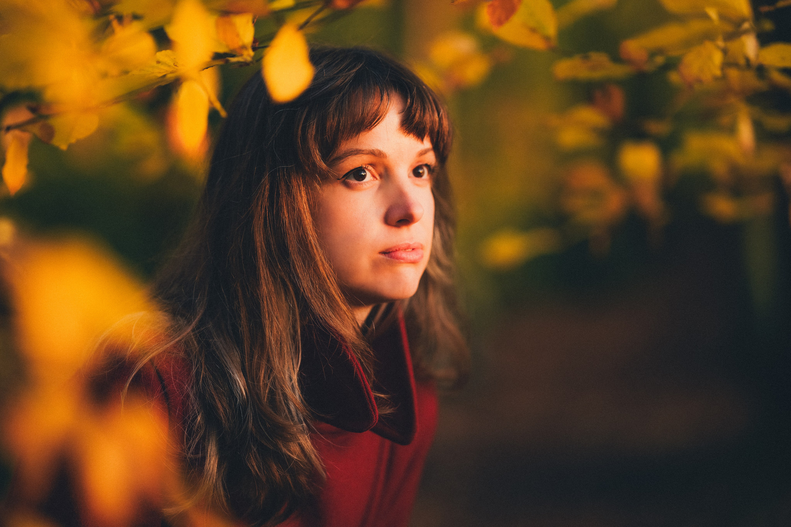 Portrait photography in the woods Solihull. Creative Family, Brand, Boudoir and Wedding Photographer in Solihull & Birmingham Irina Zoteeva