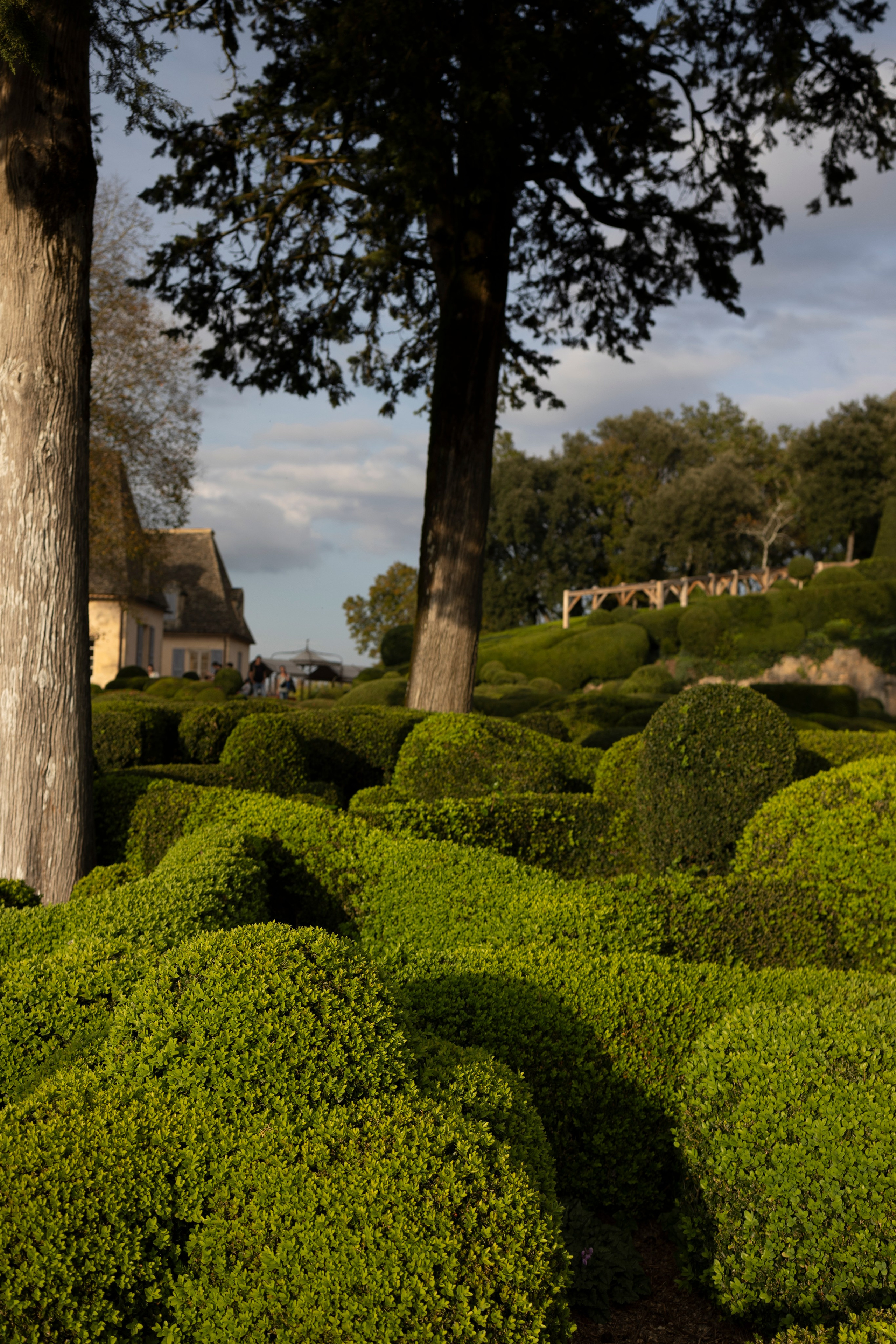 Осенние каникулы 2024 в департаменте Дордонь, Франция. Евгения Смирнова — фотограф в Тулузе и юго-западной Франции