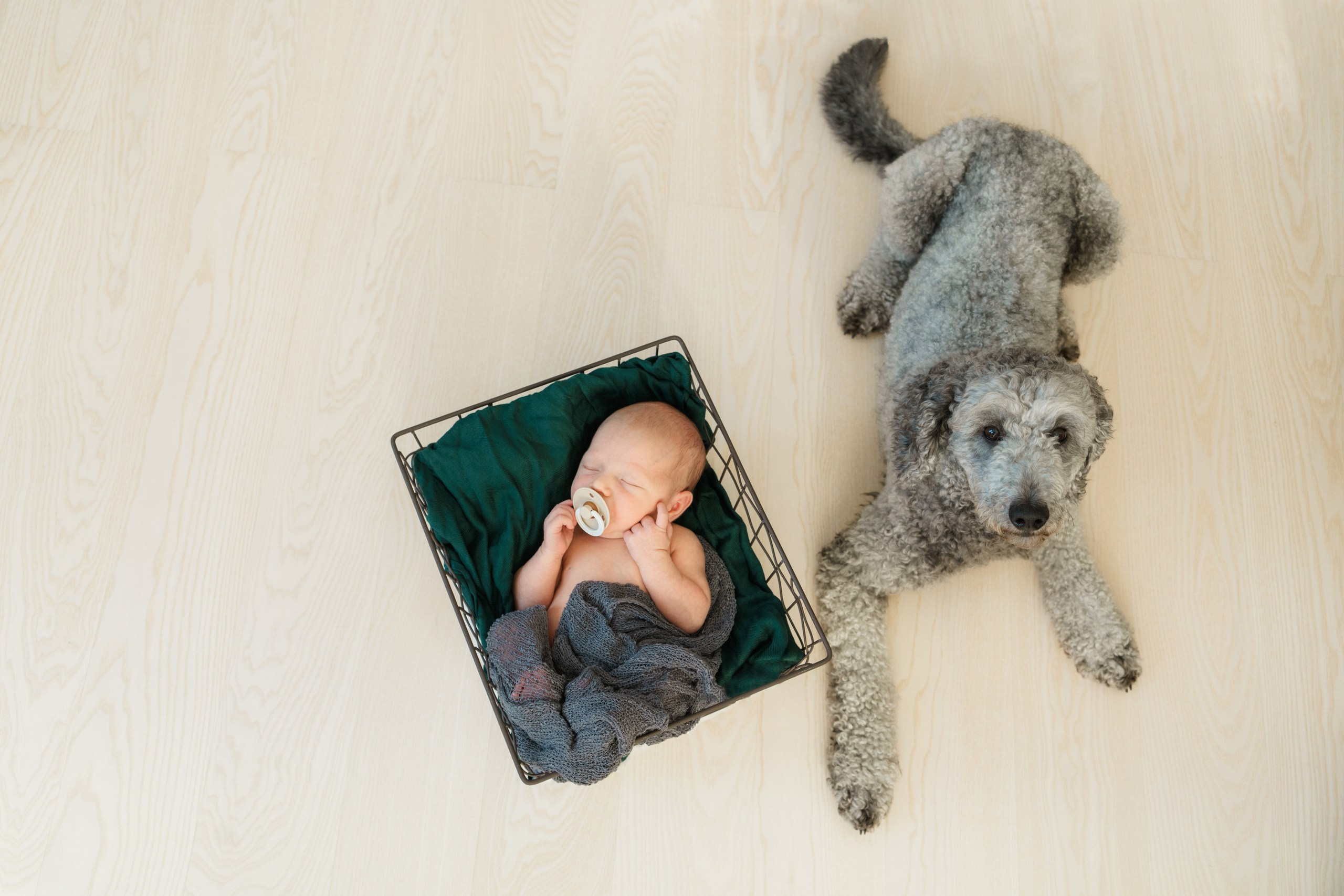 Vastasyntyneen pojan kuvaus Espoo
