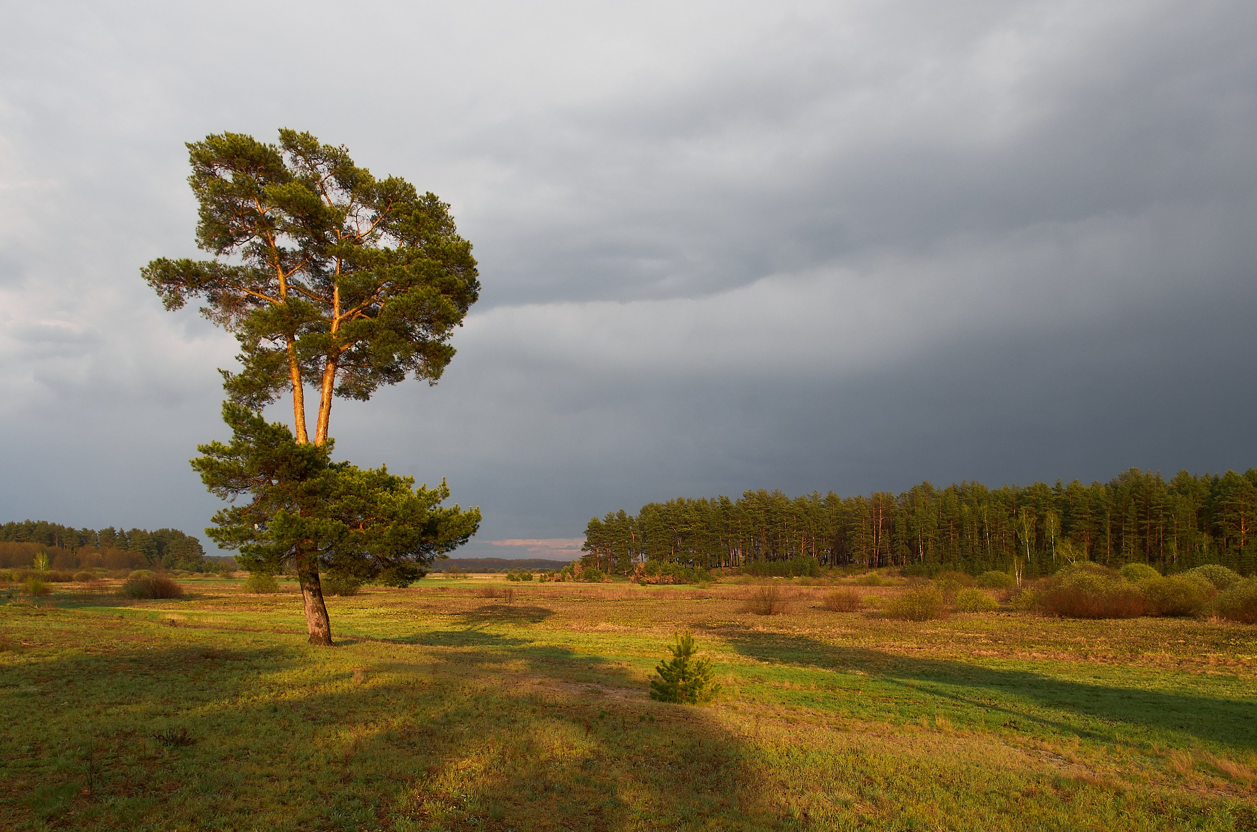 Yuri Popkov | Photographer