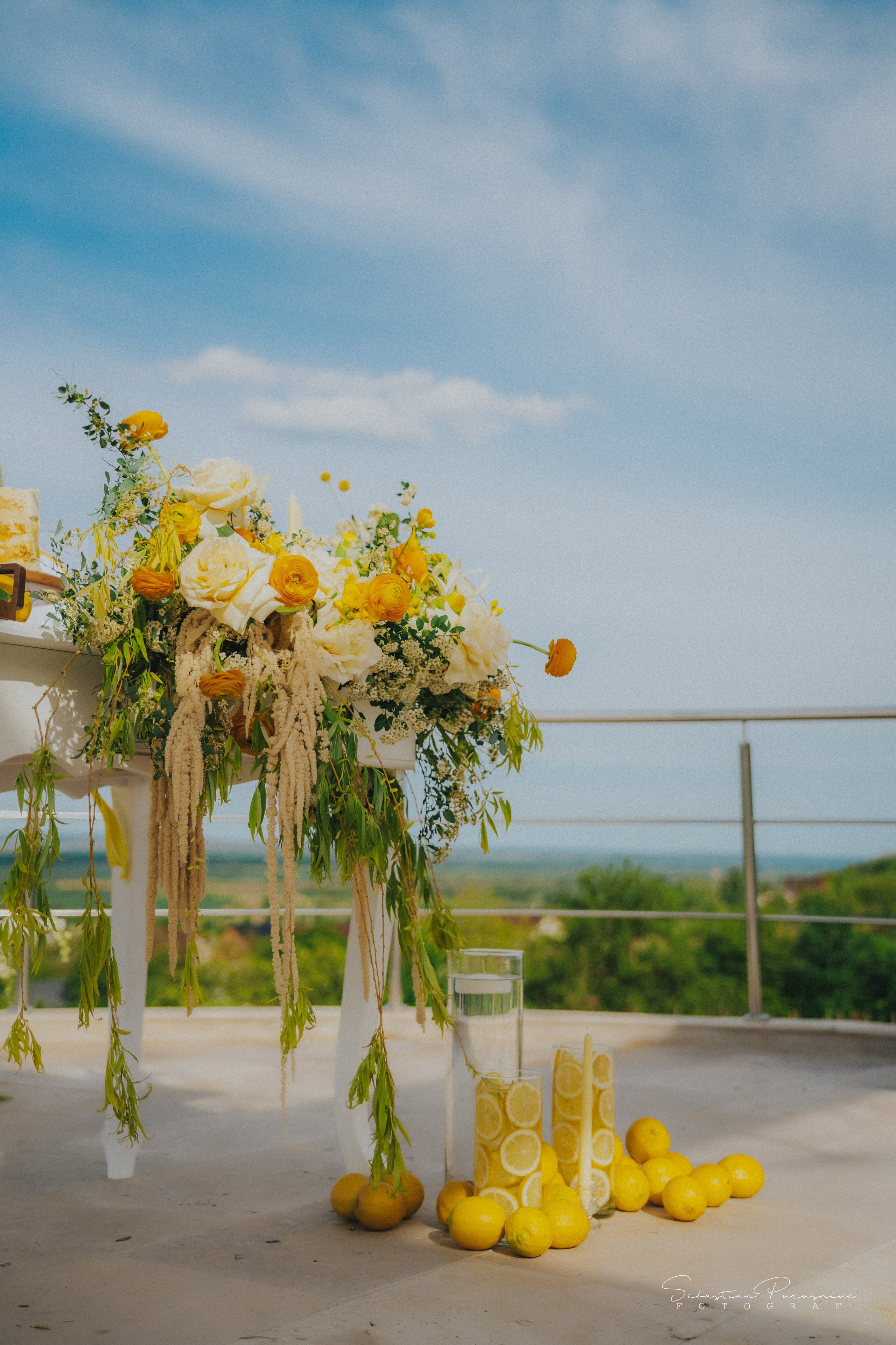 Love & Lemons. Sebastian Purusniuc Fotograf - Iasi