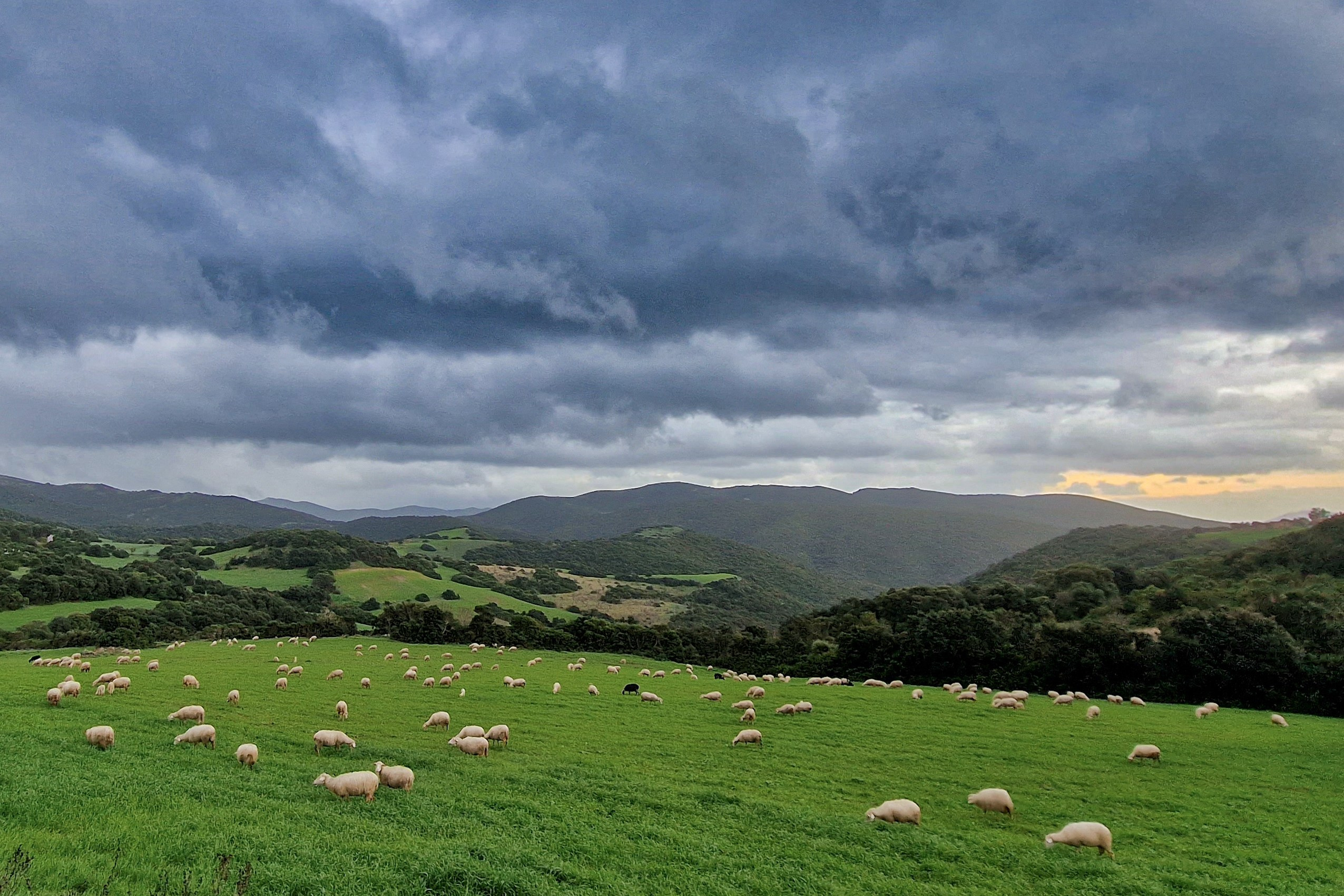 Paesaggi. Olga Manukhina fotografo in Sardegna