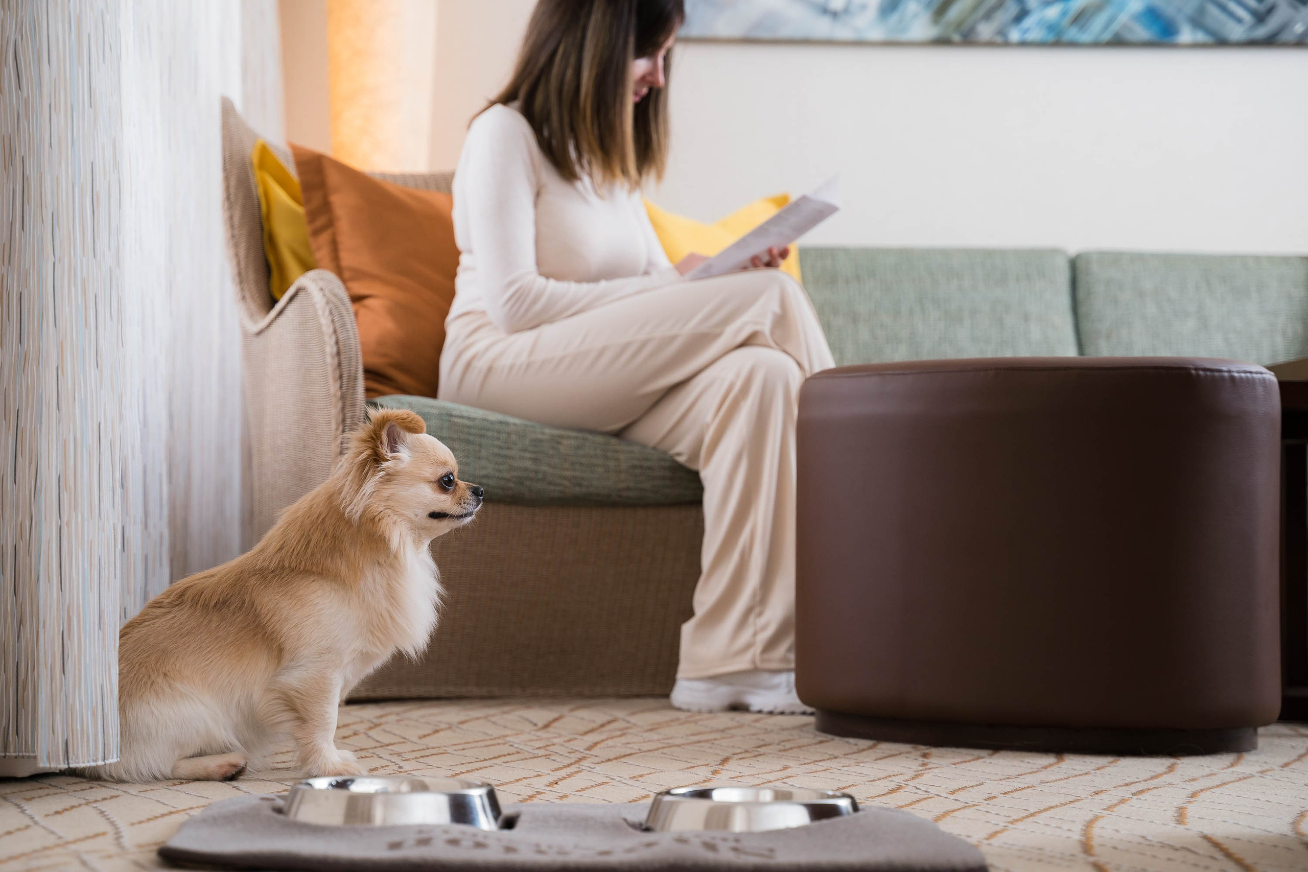 Fotografía de retratos corporativos en Arabella Sheraton. Mallorca Wedding, Corporate & Social Photographer