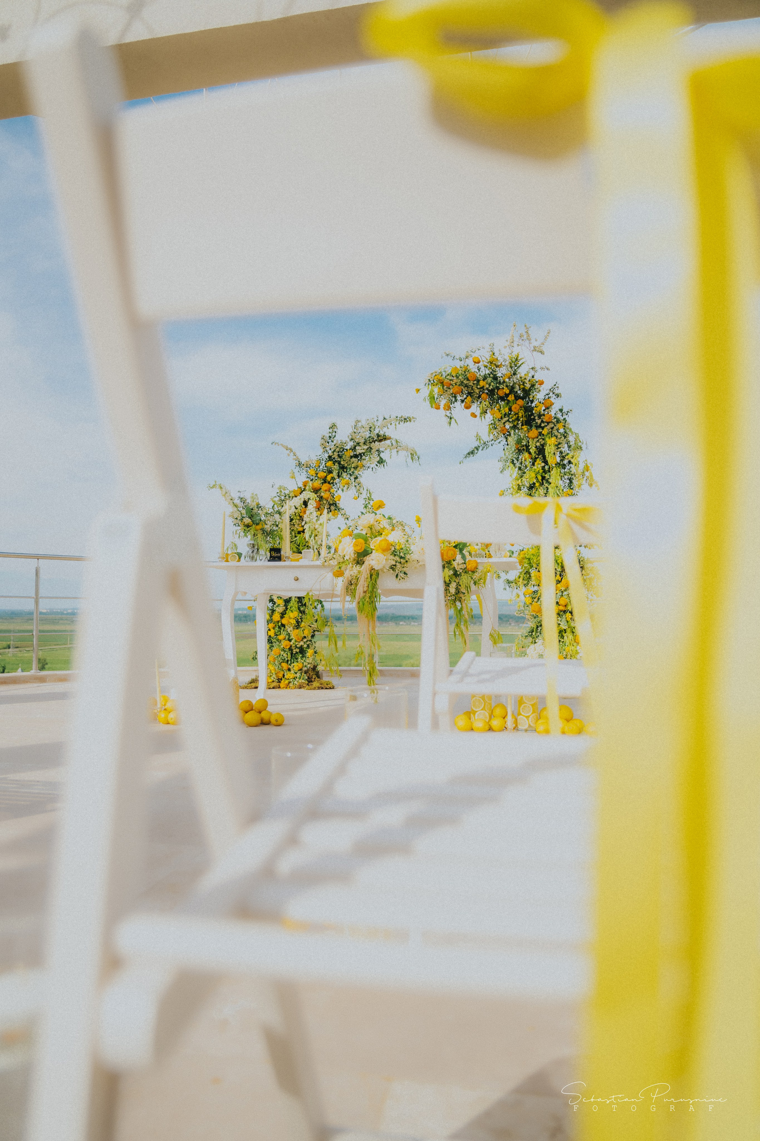 Love & Lemons. Sebastian Purusniuc Fotograf - Iasi