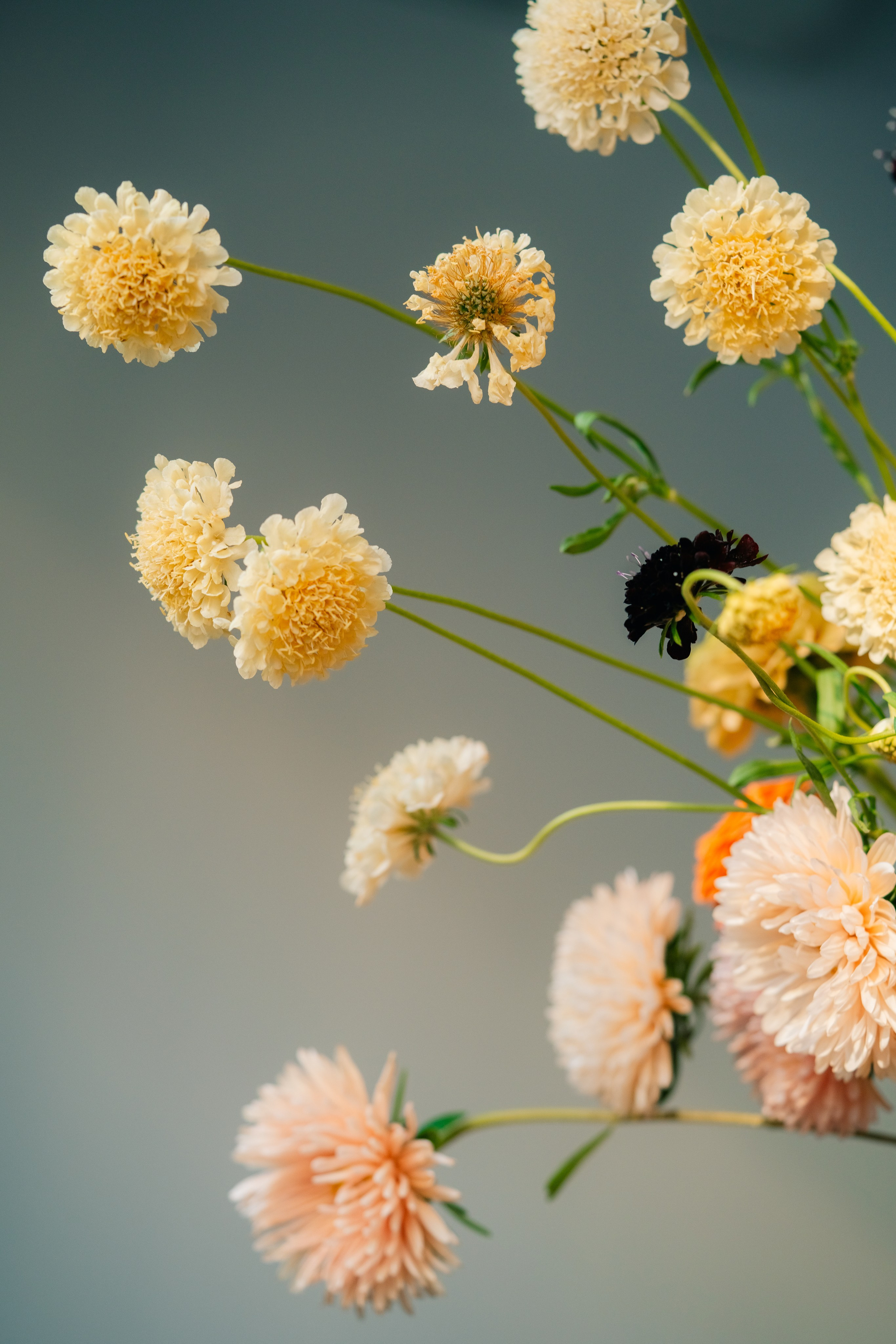 Maria Sher. Professional photographer from Porto, Portugal