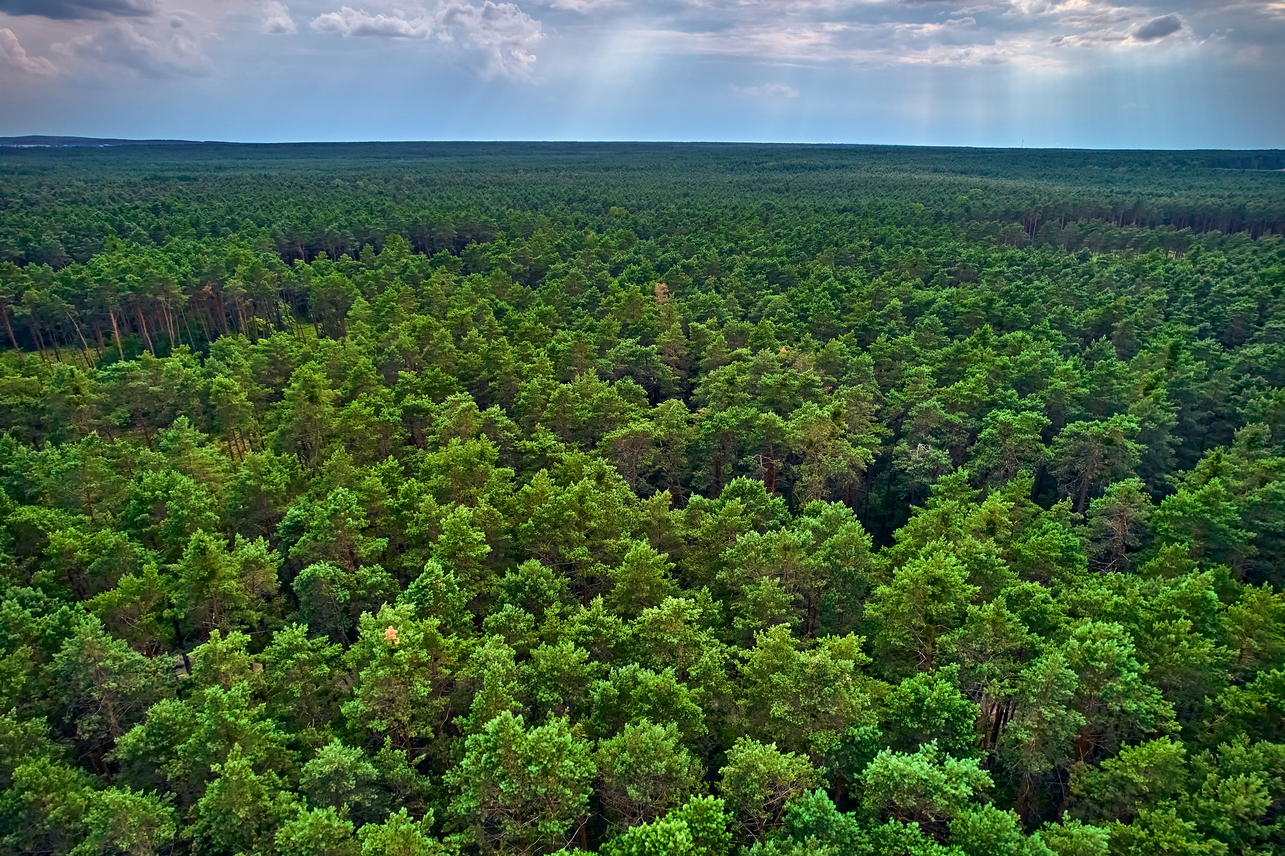 Organic Festival 2024. Andriej Szypilow — Photography & Videography