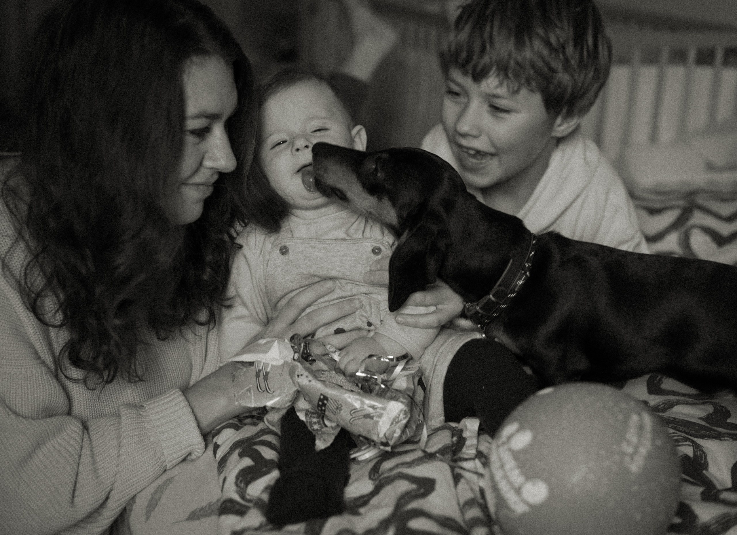 Histoires d’amour, séances photos de famille et de mariage en France