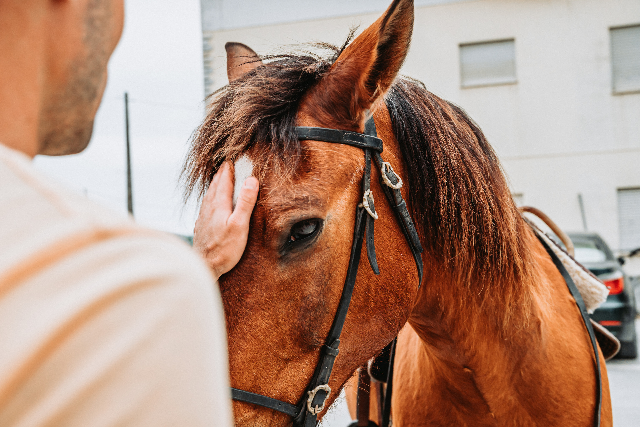 Momento a Dois com Pedido de Casamento. Luxury Wedding Photography & Cinematic Films | Portugal & Destination Weddings | Ricardo & Mary Pictures