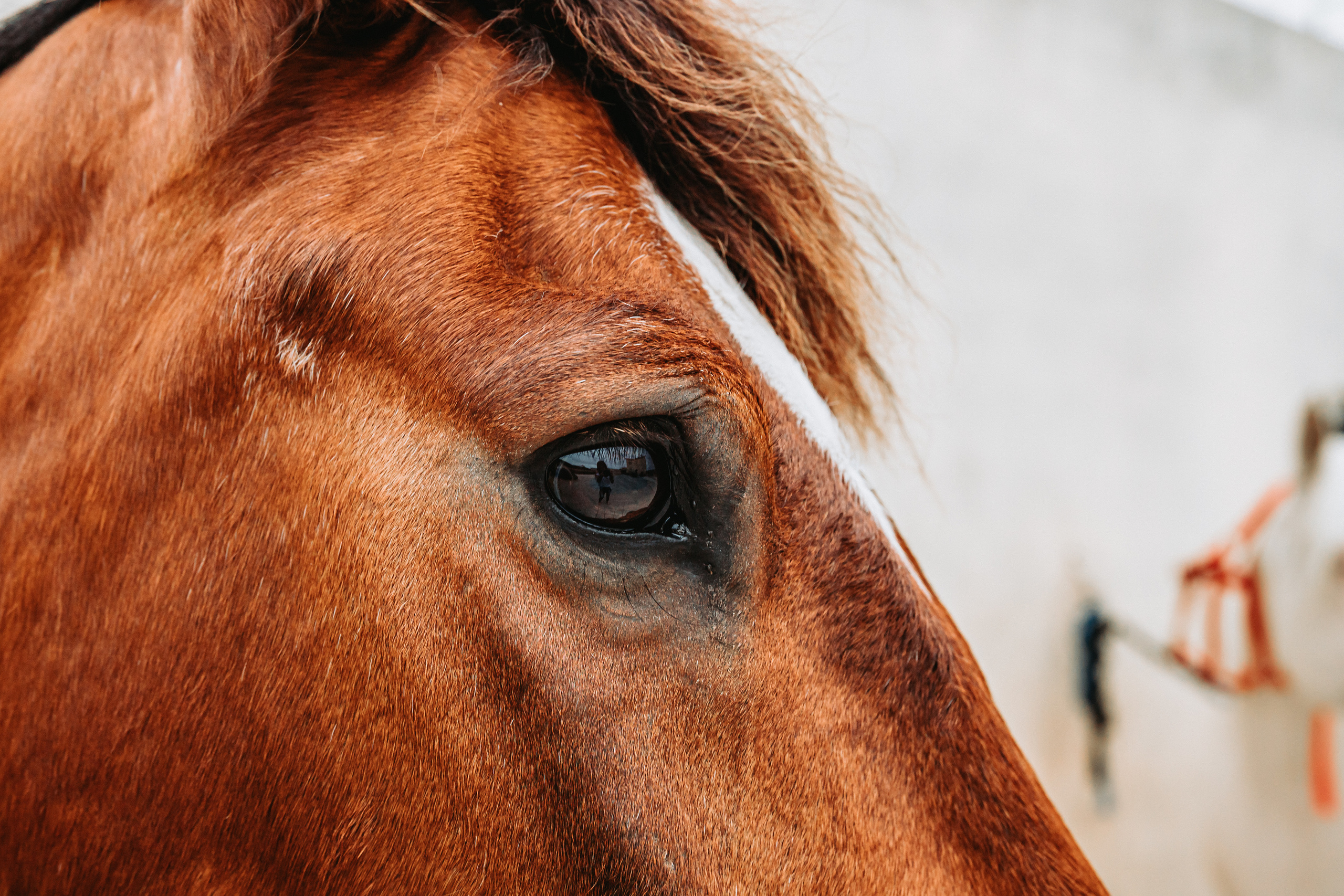 Momento a Dois com Pedido de Casamento. Luxury Wedding Photography & Cinematic Films | Portugal & Destination Weddings | Ricardo & Mary Pictures
