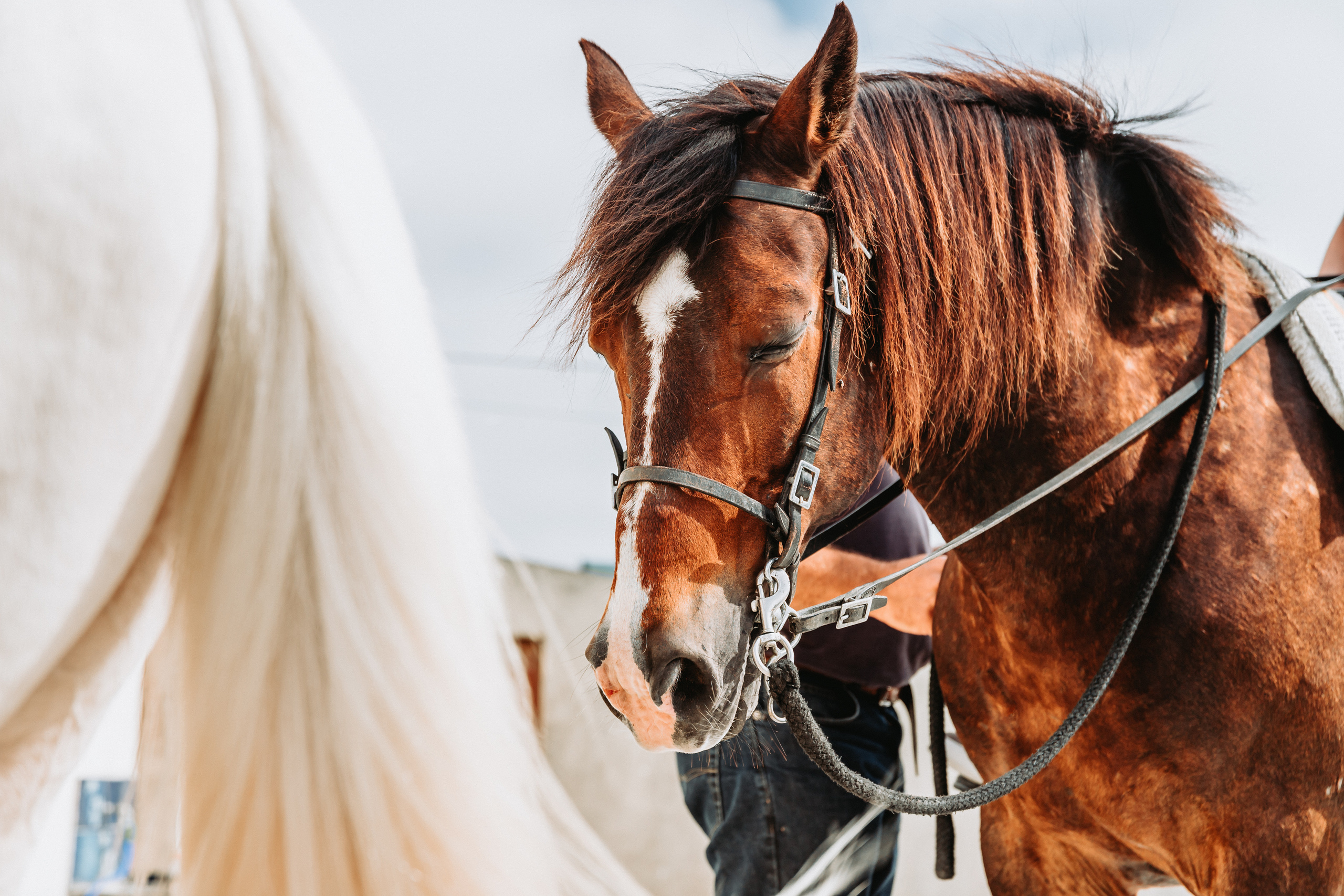 Momento a Dois com Pedido de Casamento. Luxury Wedding Photography & Cinematic Films | Portugal & Destination Weddings | Ricardo & Mary Pictures