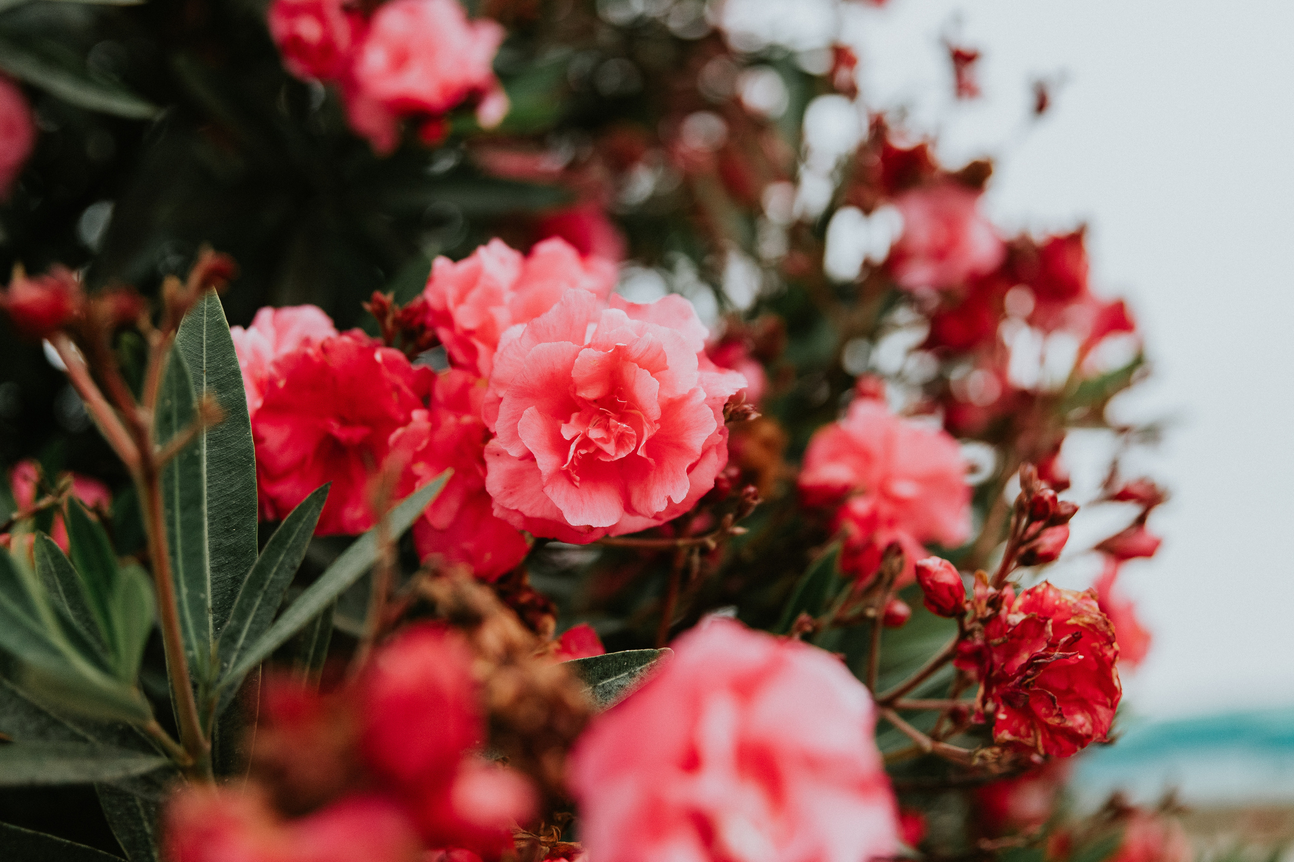 Momento a Dois em Peniche. Luxury Wedding Photography & Cinematic Films | Portugal & Destination Weddings | Ricardo & Mary Pictures