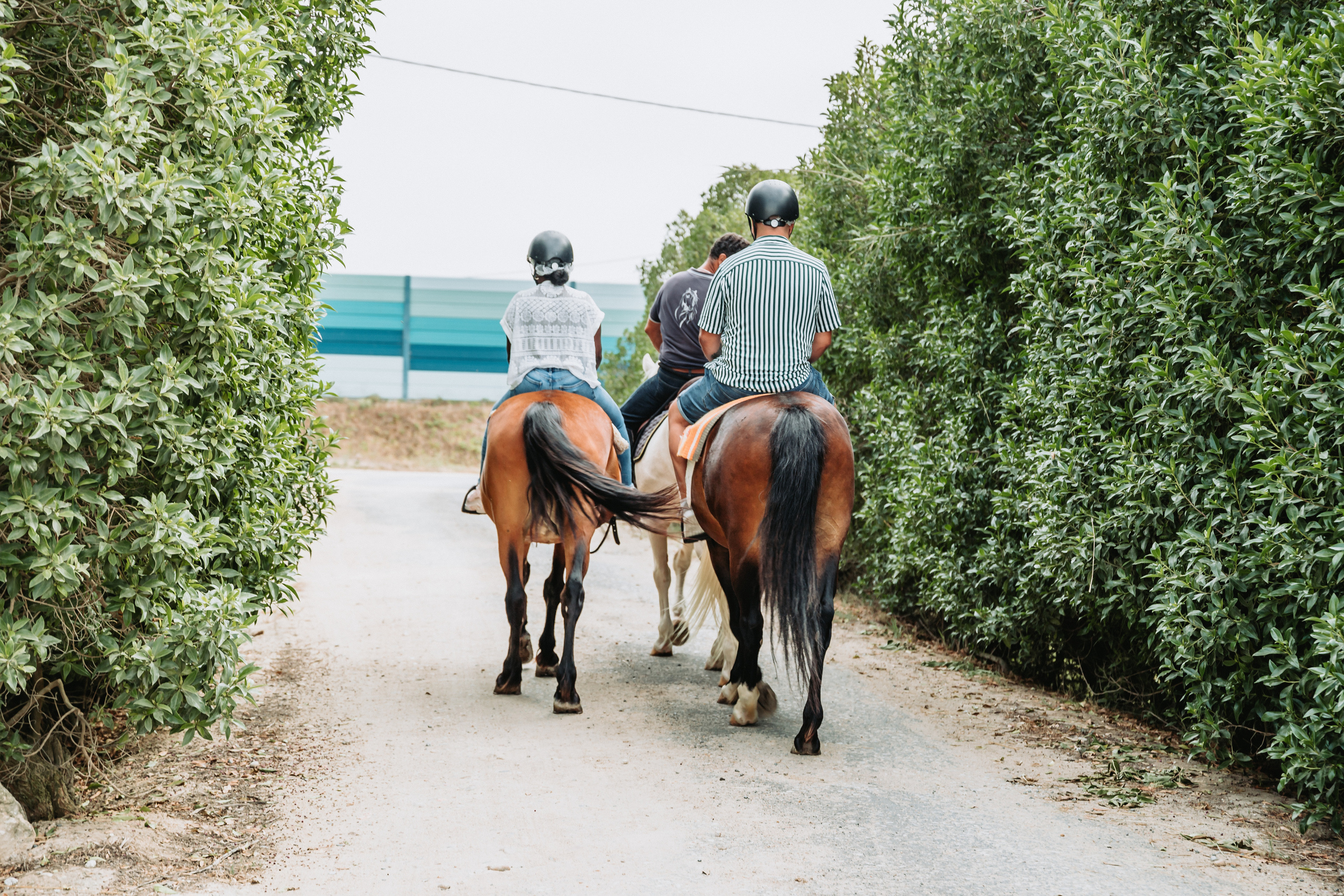 Momento a Dois com Pedido de Casamento. Luxury Wedding Photography & Cinematic Films | Portugal & Destination Weddings | Ricardo & Mary Pictures