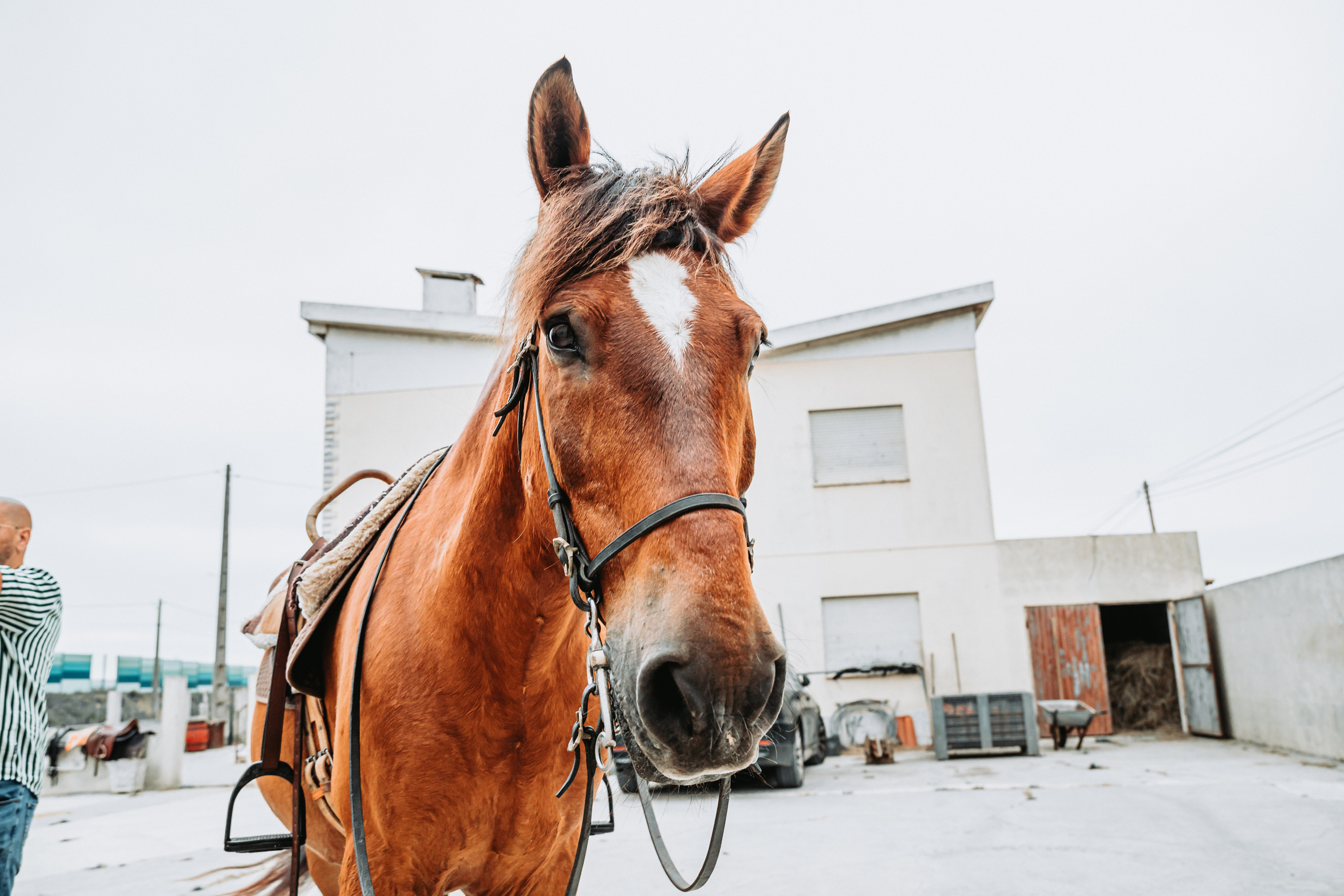 Momento a Dois com Pedido de Casamento. Luxury Wedding Photography & Cinematic Films | Portugal & Destination Weddings | Ricardo & Mary Pictures