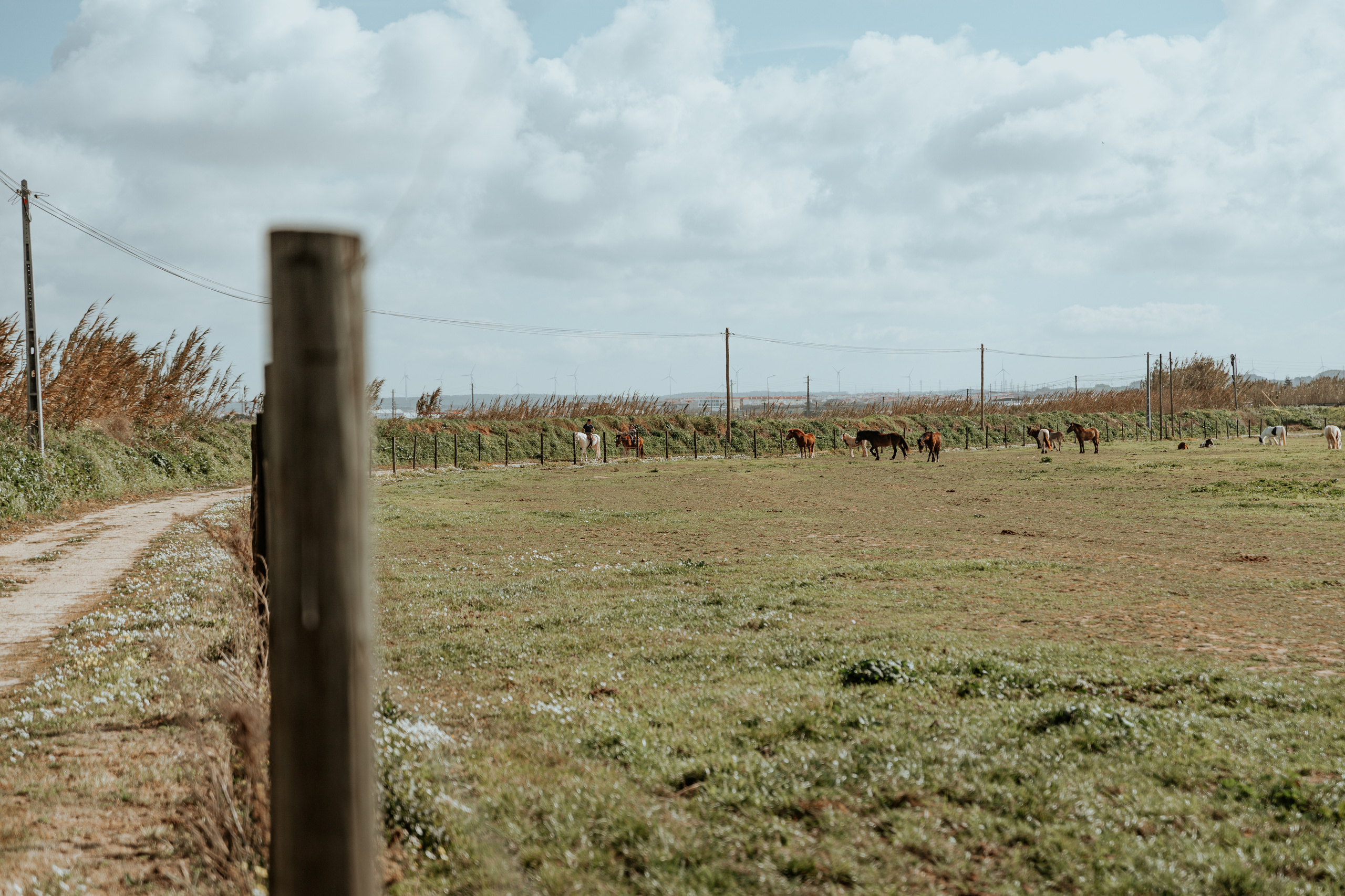 Passeio a cavalo na praia dos Supertubos. Luxury Wedding Photography & Cinematic Films | Portugal & Destination Weddings | Ricardo & Mary Pictures