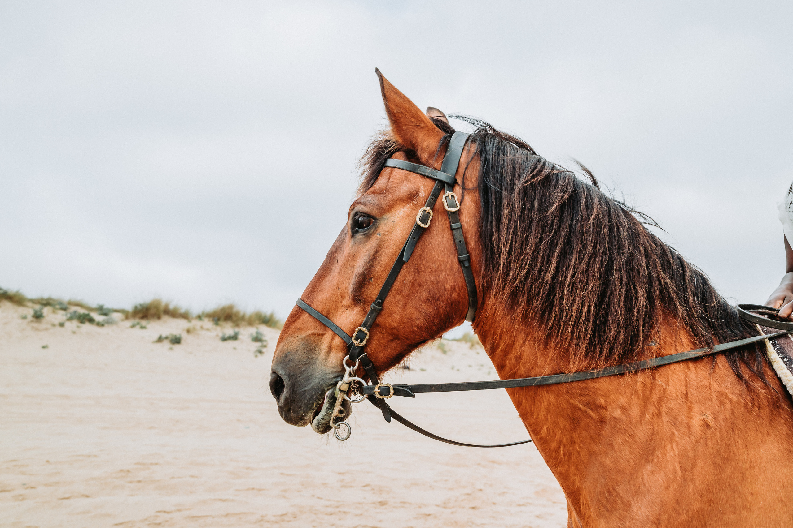 Momento a Dois com Pedido de Casamento. Luxury Wedding Photography & Cinematic Films | Portugal & Destination Weddings | Ricardo & Mary Pictures
