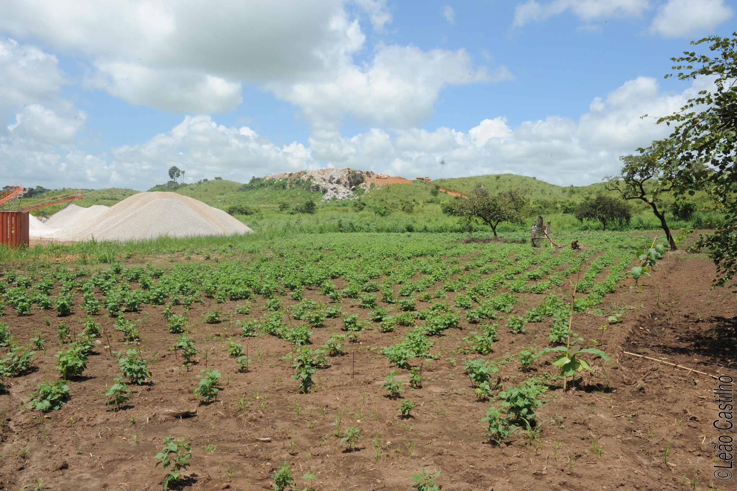 Photos of agriculture for the people of Muindi project. Simbahalu