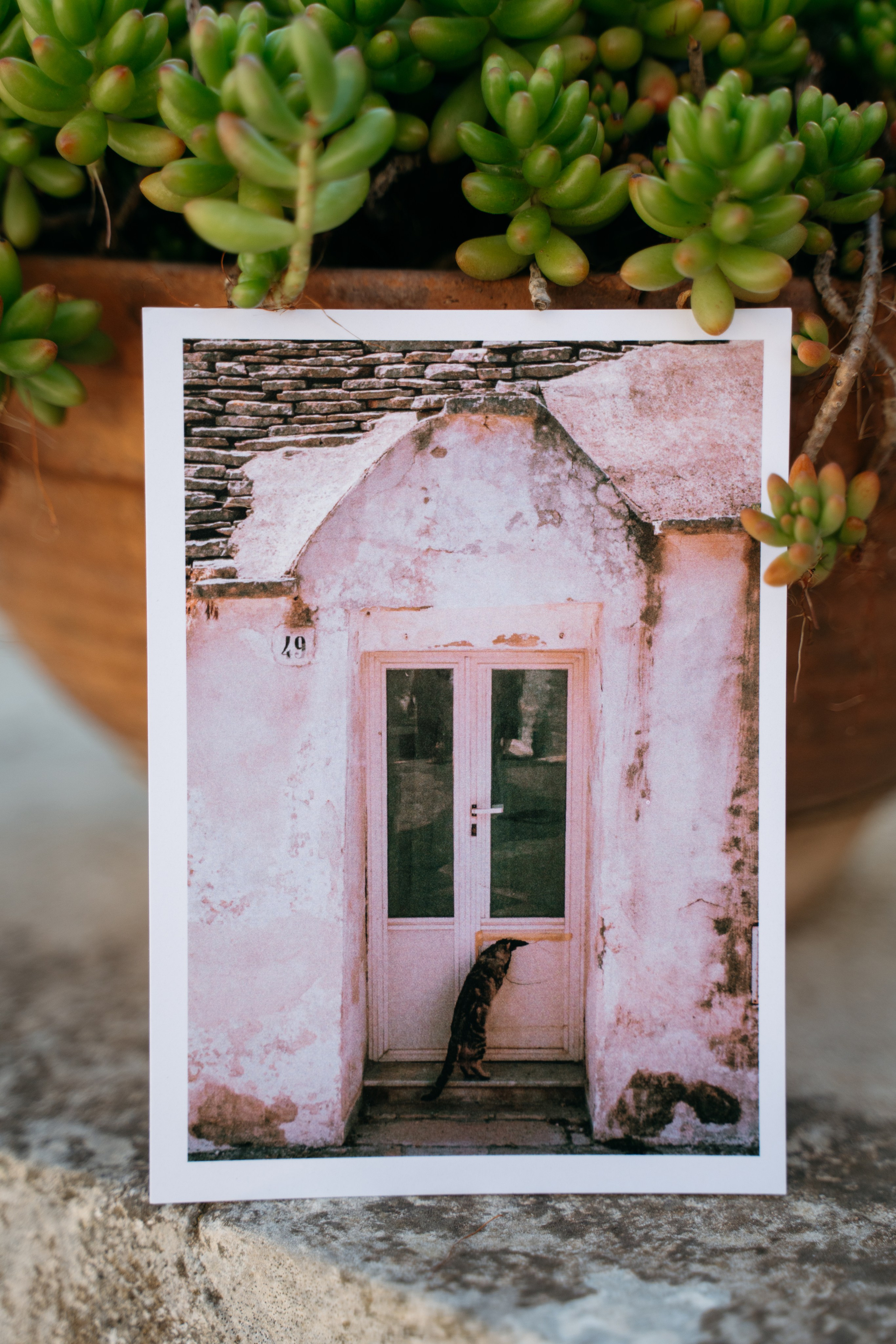 Postcards. Diana Fedrigo | Fotografa matrimoni in Italia