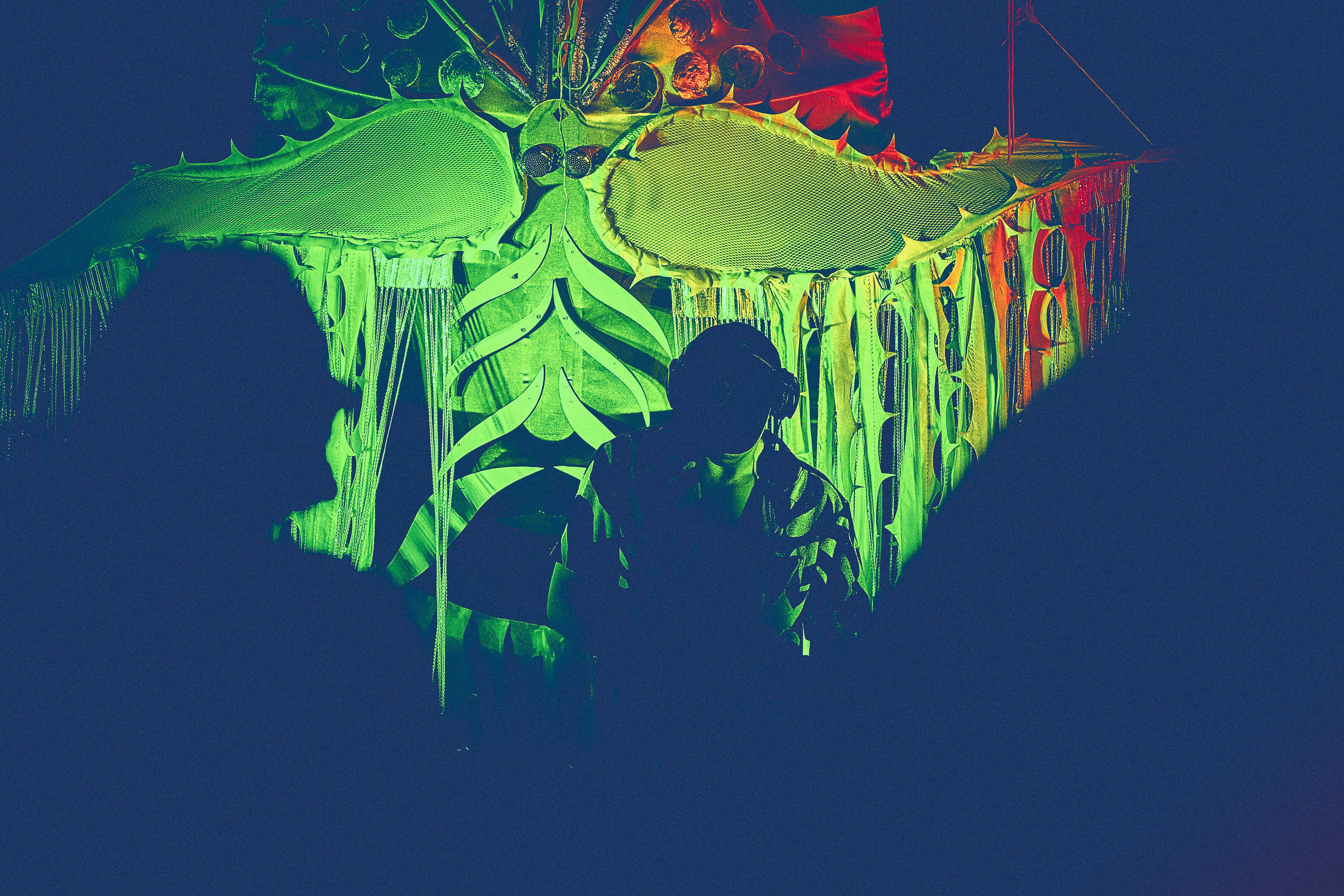 Organic Festival 2024. Andriej Szypilow — Photography & Videography