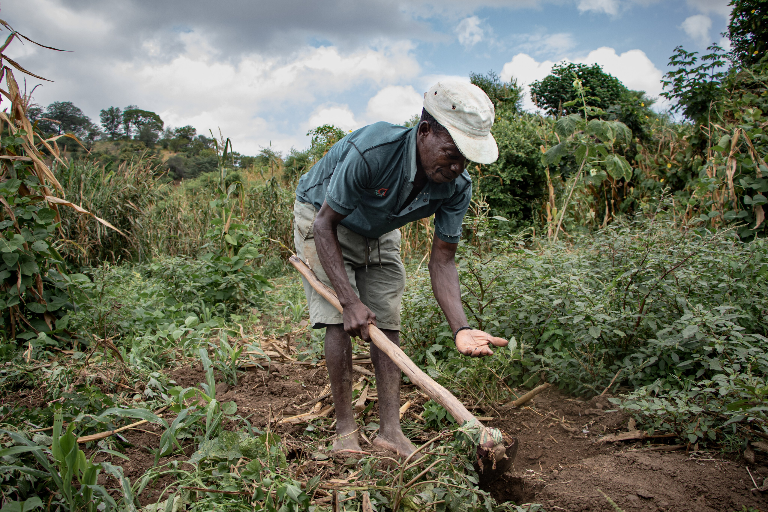 À Chirodzi, Alexandre, pêcheur et agriculteur, cultive son maïs sur les rives du Zambèze. Son village figure parmi les premières victimes du méga-barrage Mphanda Nkuwa, un projet mené par un consortium incluant TotalEnergies et EDF, qui menace de submerger terres agricoles, forêts et habitations, bouleversant l’écosystème local et la vie de milliers de riverains.