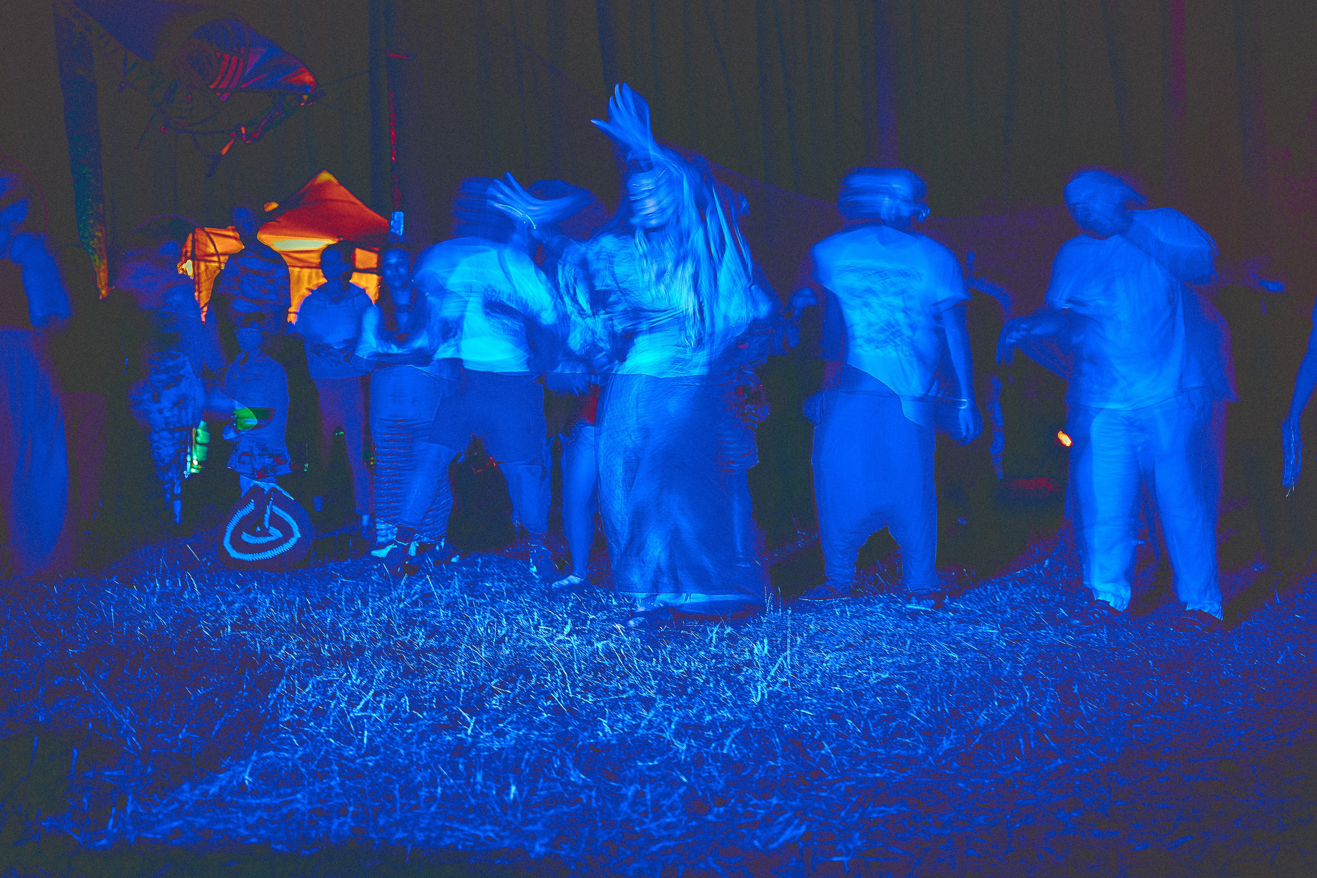 Organic-2025. Andriej Szypilow — Photography & Videography