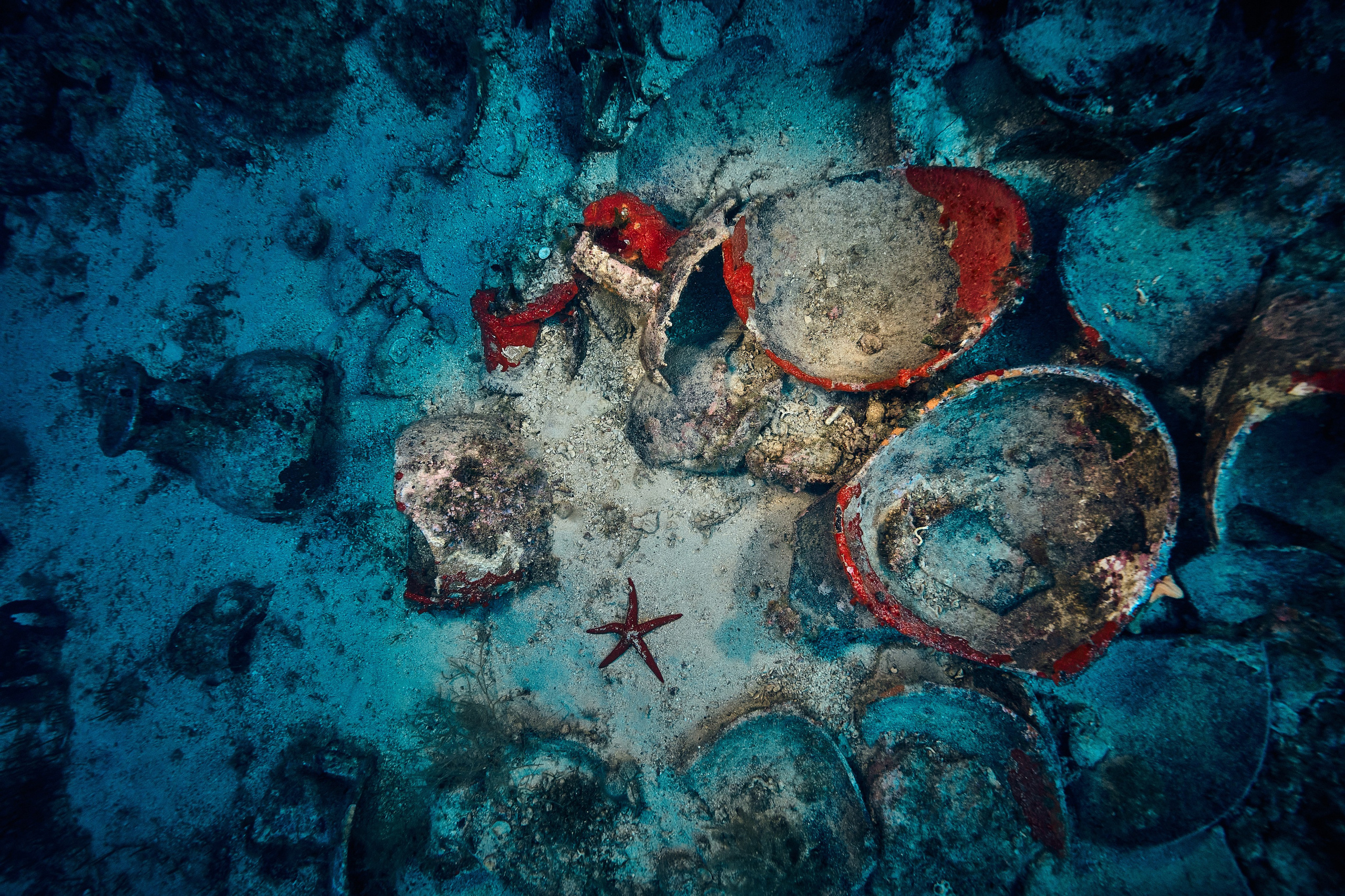 Podwodny fotograf - Andriej Szypilow - underwater photography. Tajemnica - wielka, głęboka i wszechobecna - to jest ta jakość, której przede wszystkim szukam w fotografii podwodnej...