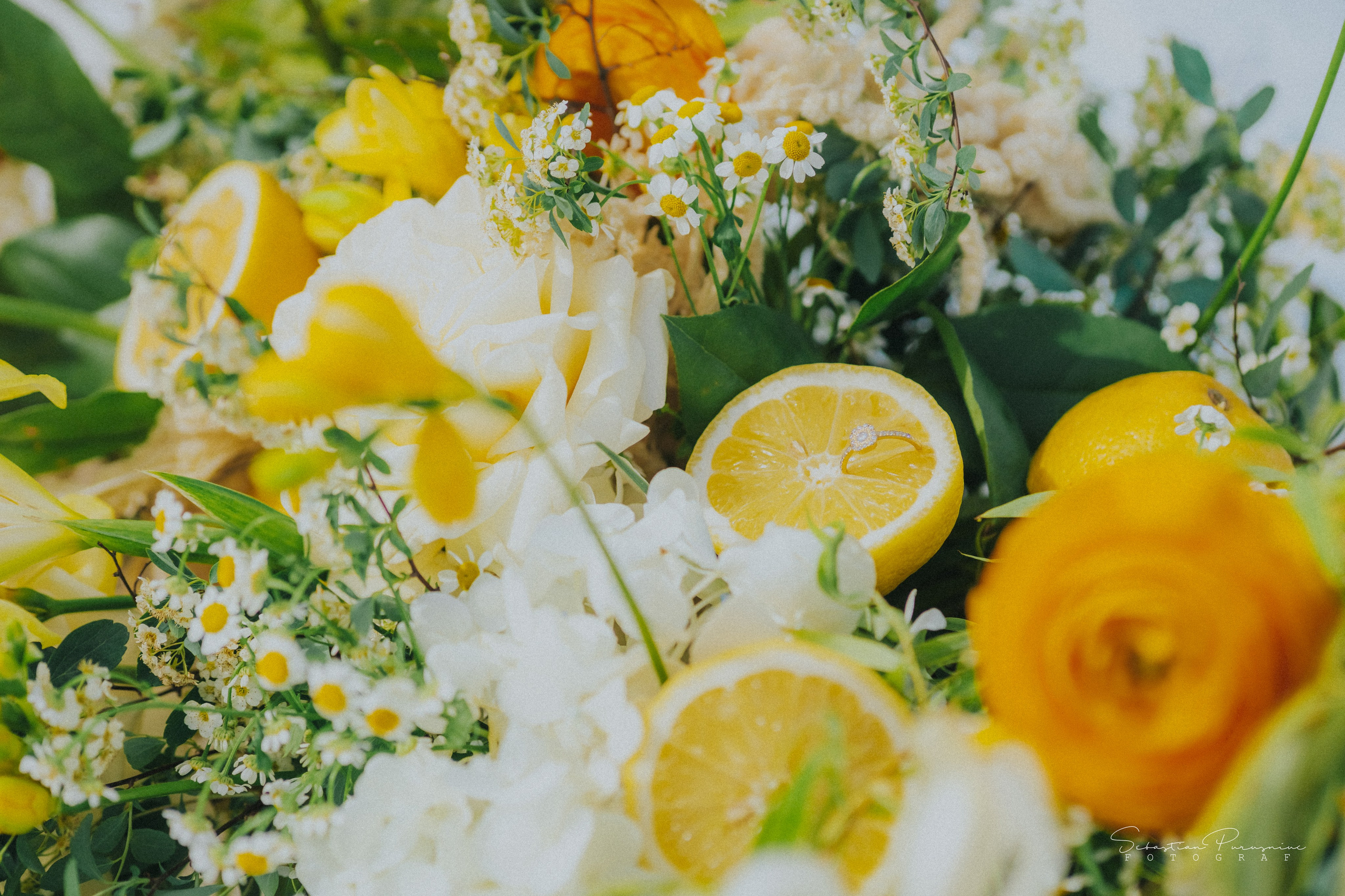 Love & Lemons. Sebastian Purusniuc Fotograf - Iasi