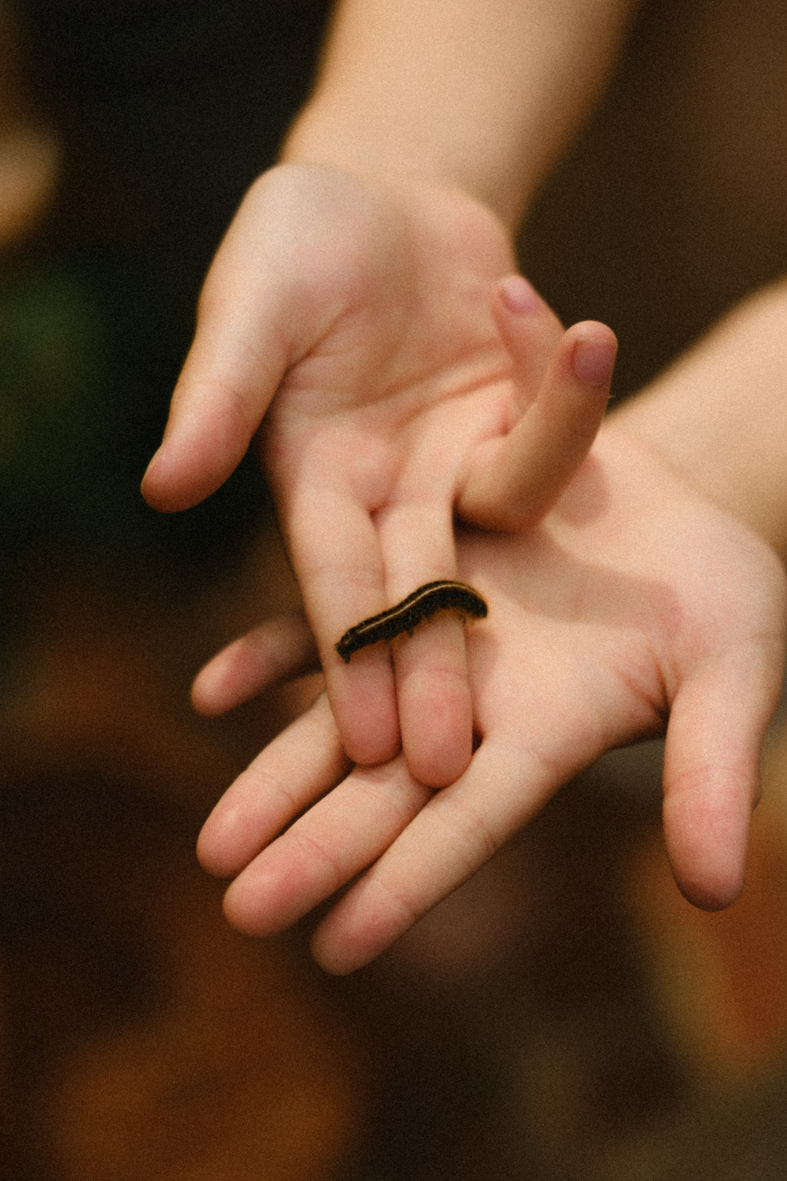 Cozy In-Home Family Photo Session in a Historic Richmond Victorian Home. Family Photographer Anna Dobrovolskaia | Richmond, VA