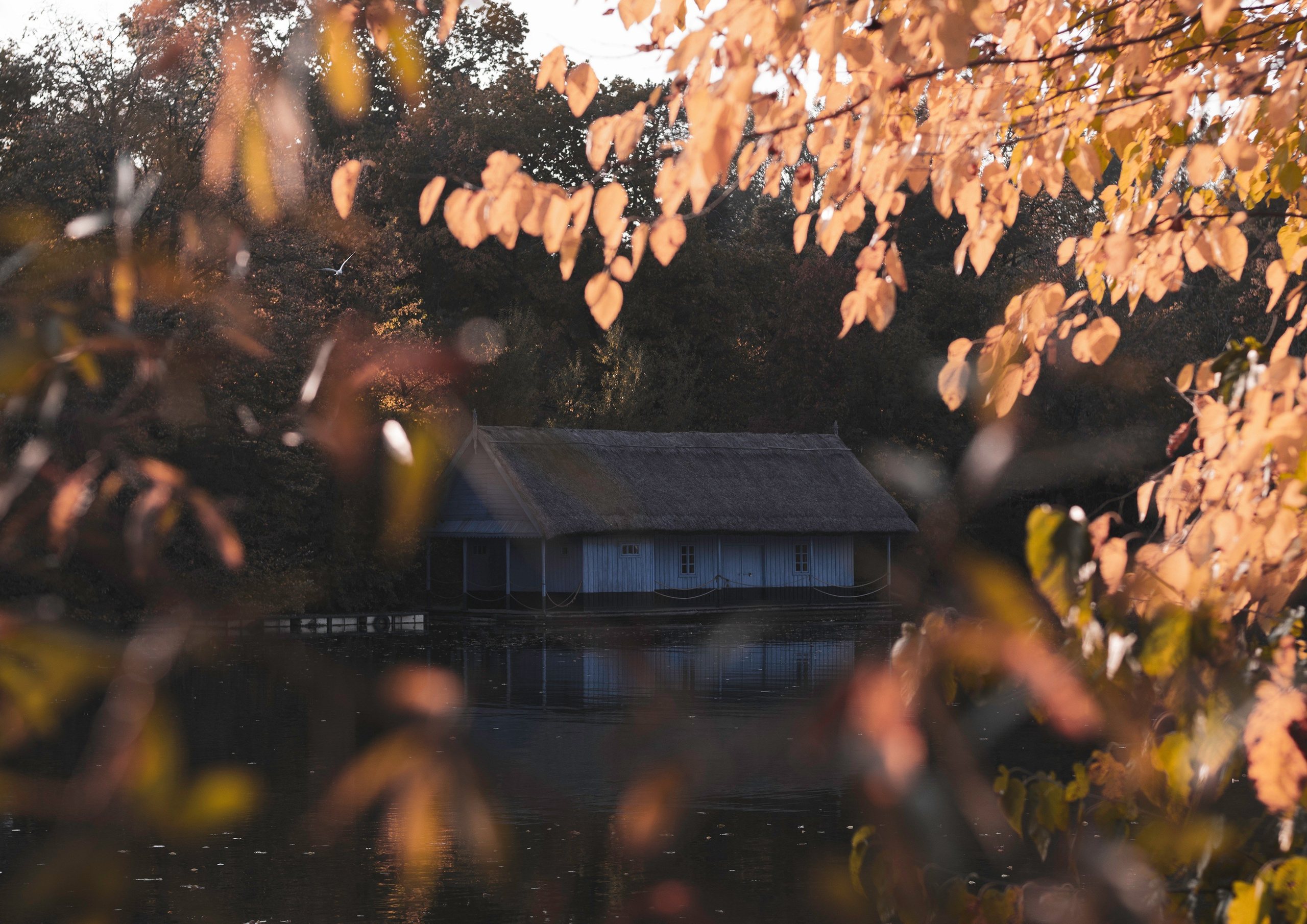 ALB — Alexandru-Laurențiu Bîrsan | Fotograf în București