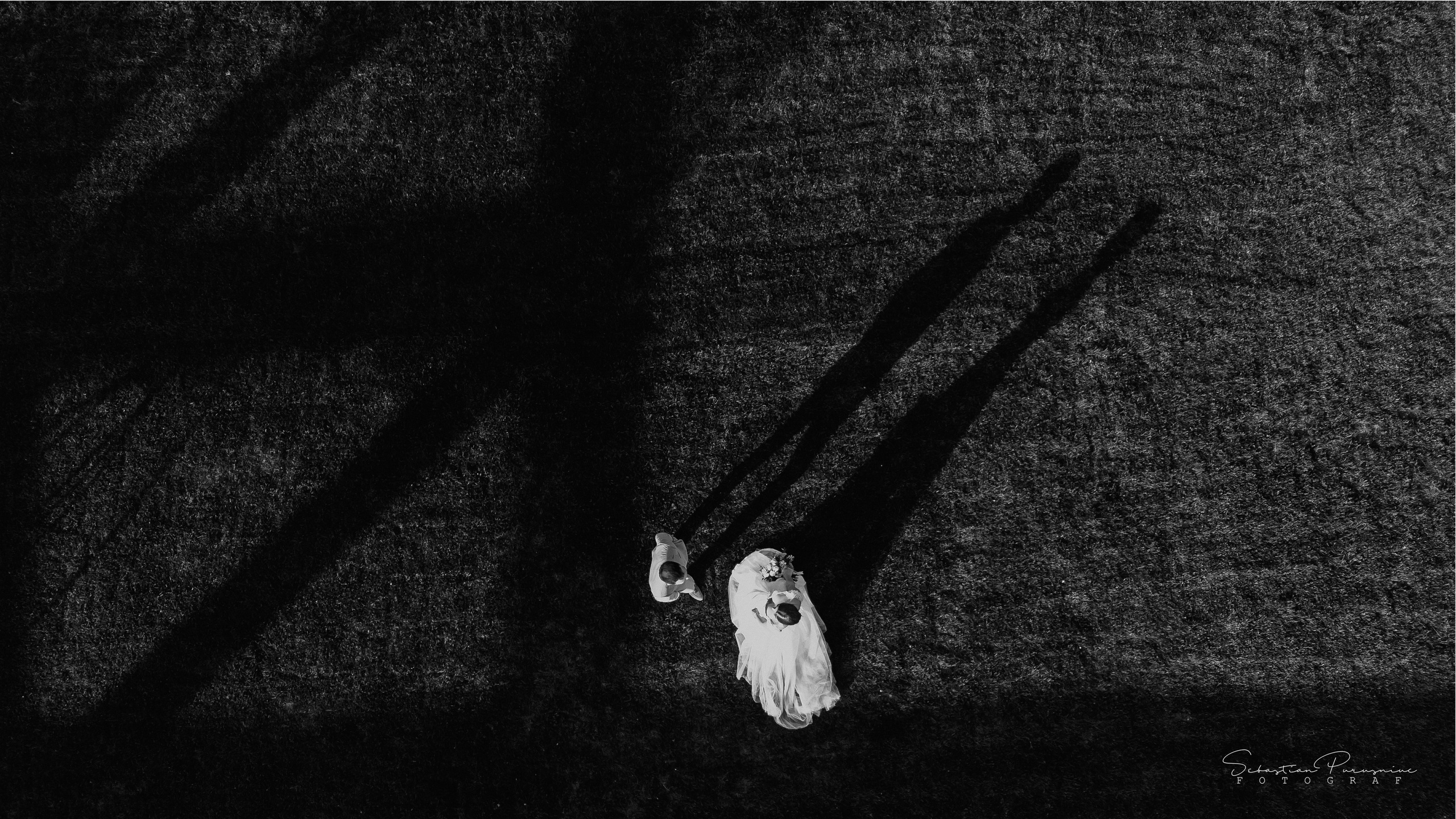 Love & Lemons. Sebastian Purusniuc Fotograf - Iasi