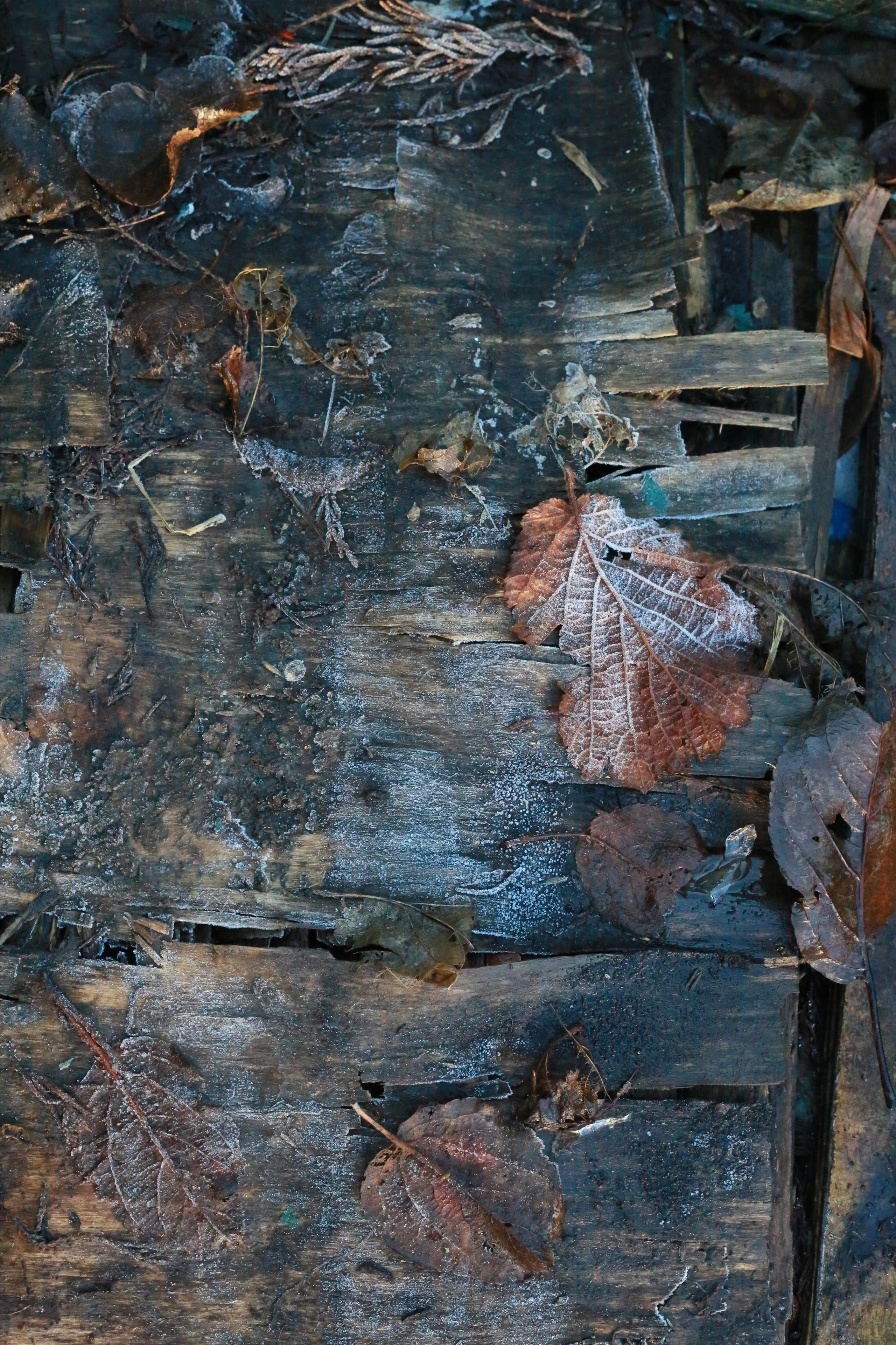 Новости Франции. Natalia Bogdanovska. Films et photographie corporate en France