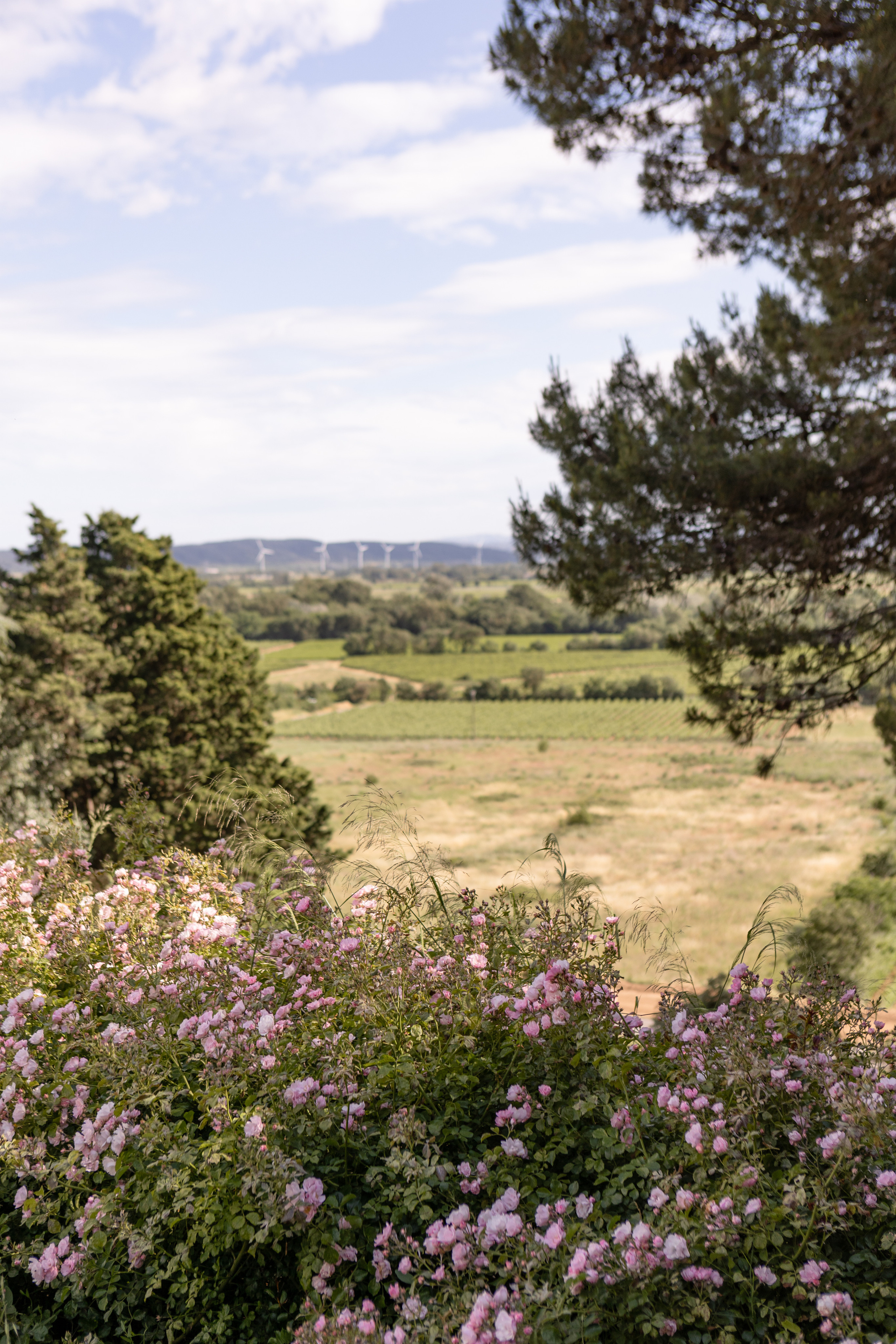 Корпоративная съемка в Chateau de Paraza. Евгения Смирнова — фотограф в Тулузе и юго-западной Франции