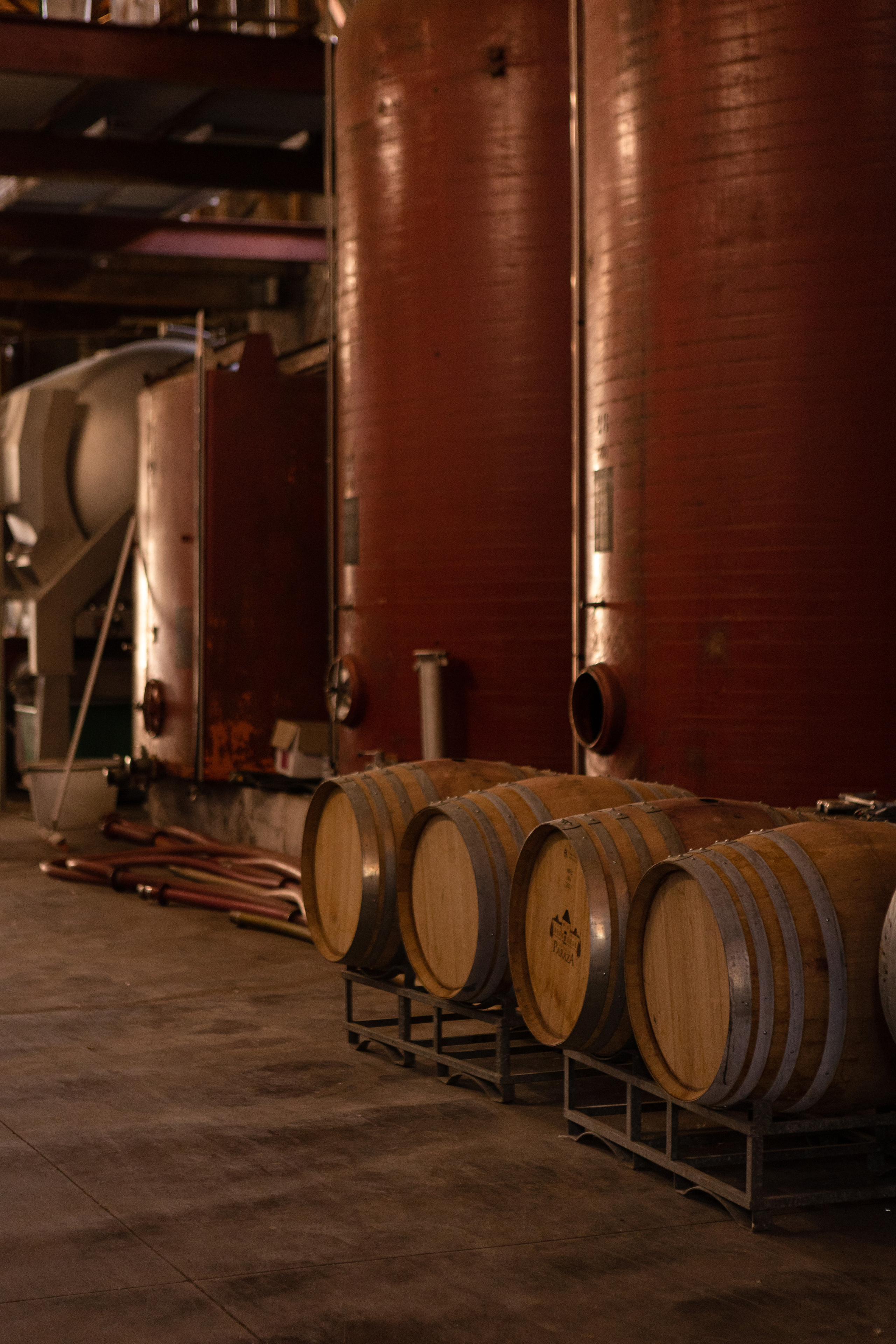 Корпоративная съемка в Chateau de Paraza. Евгения Смирнова — фотограф в Тулузе и юго-западной Франции