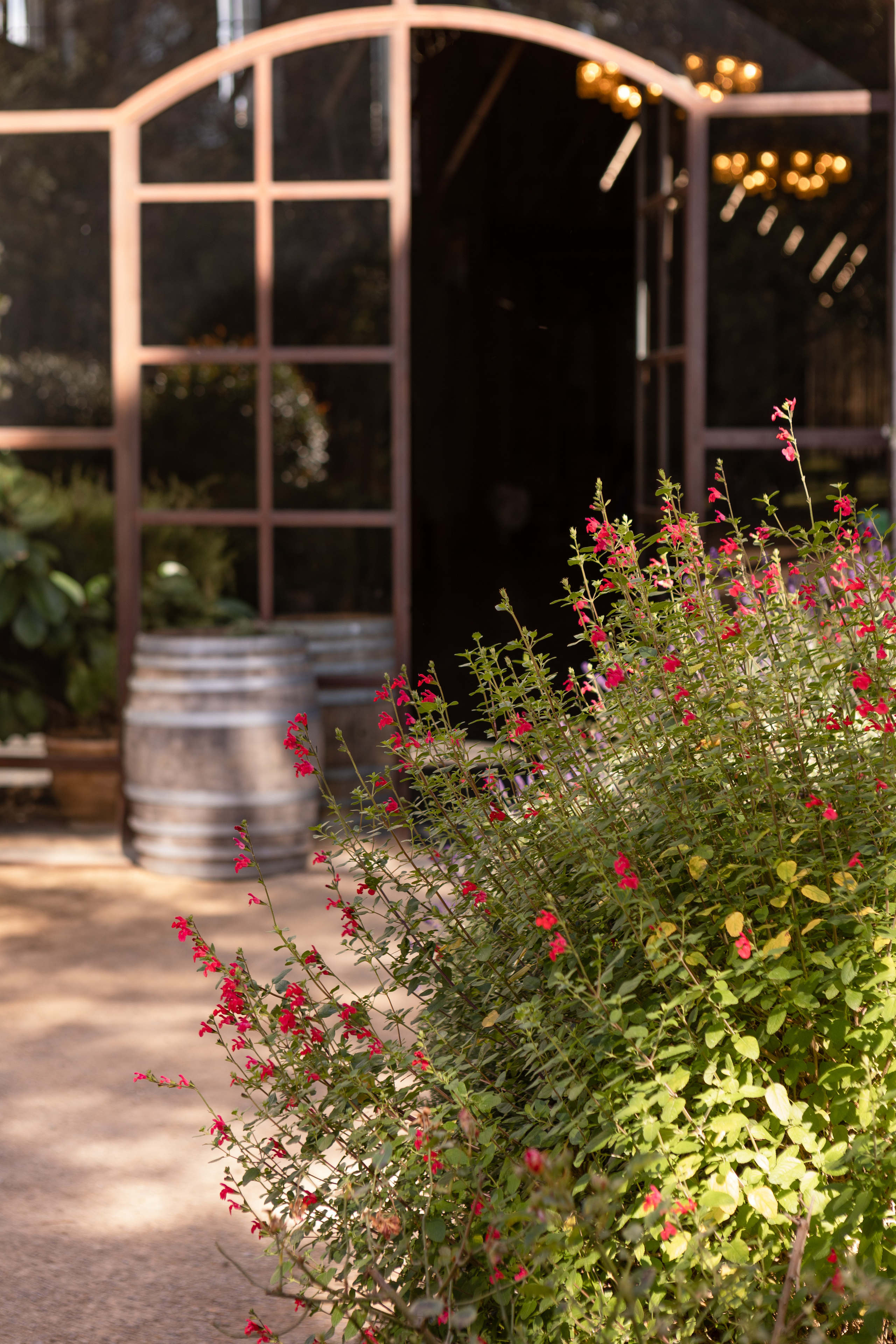 Корпоративная съемка в Chateau de Paraza. Евгения Смирнова — фотограф в Тулузе и юго-западной Франции