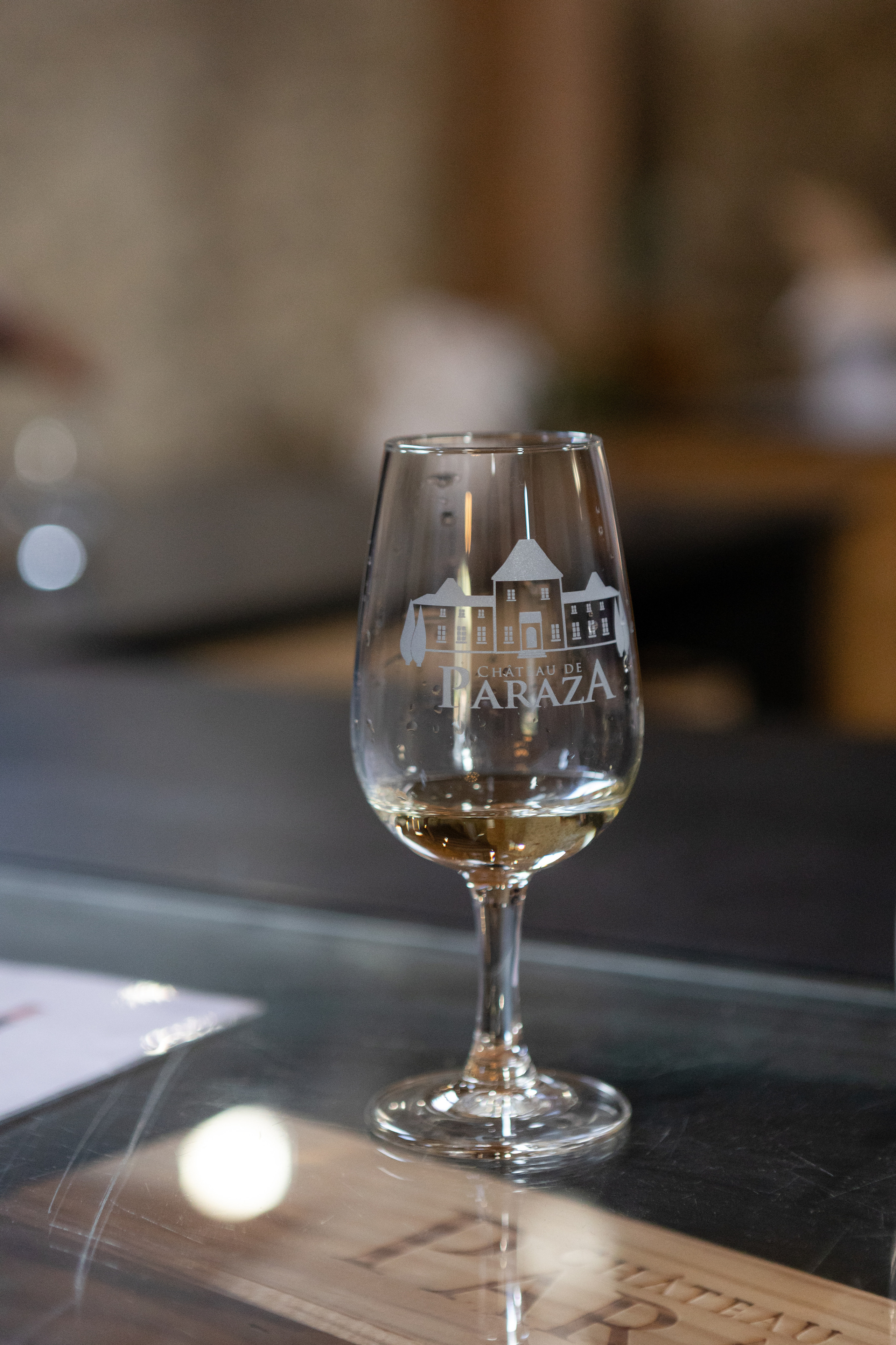 Корпоративная съемка в Chateau de Paraza. Евгения Смирнова — фотограф в Тулузе и юго-западной Франции