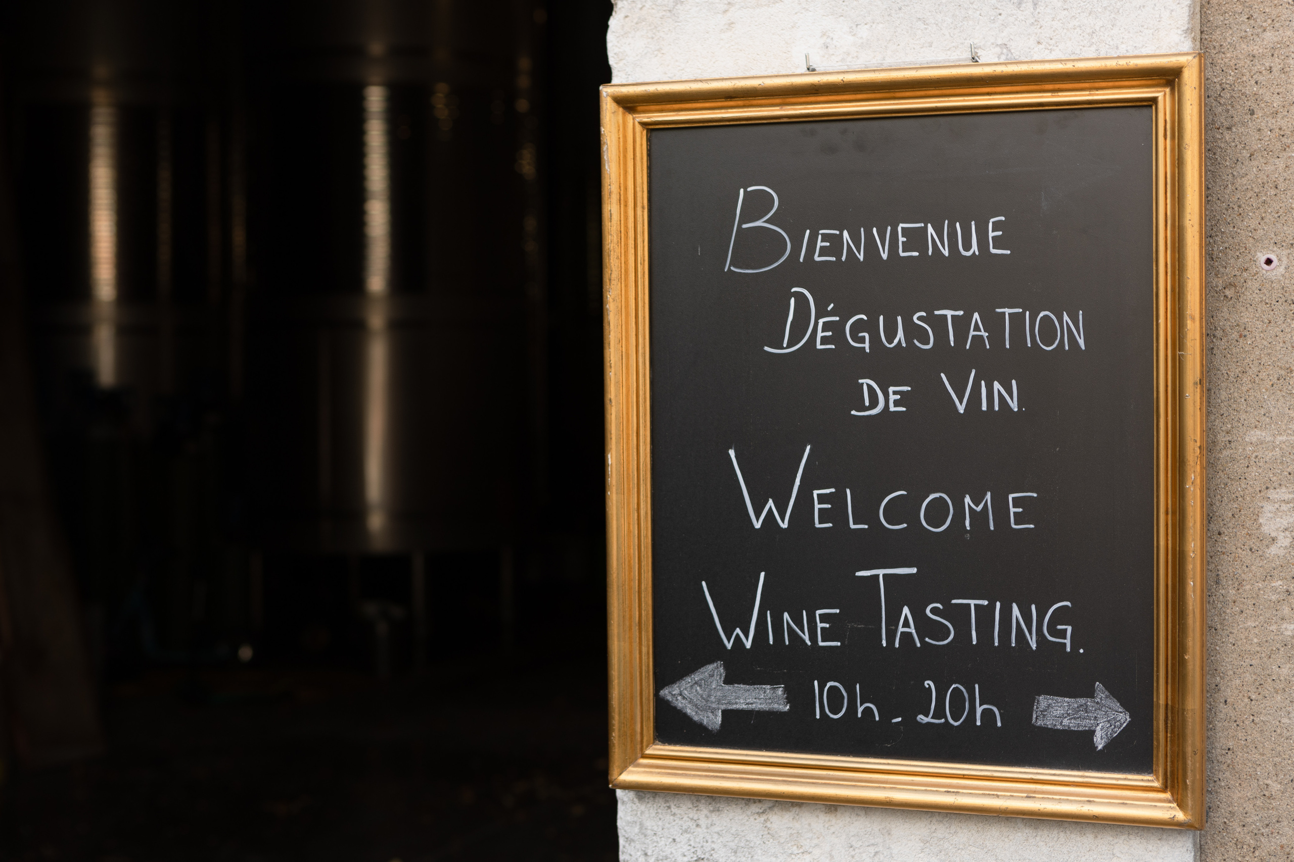 Корпоративная съемка в Chateau de Paraza. Евгения Смирнова — фотограф в Тулузе и юго-западной Франции