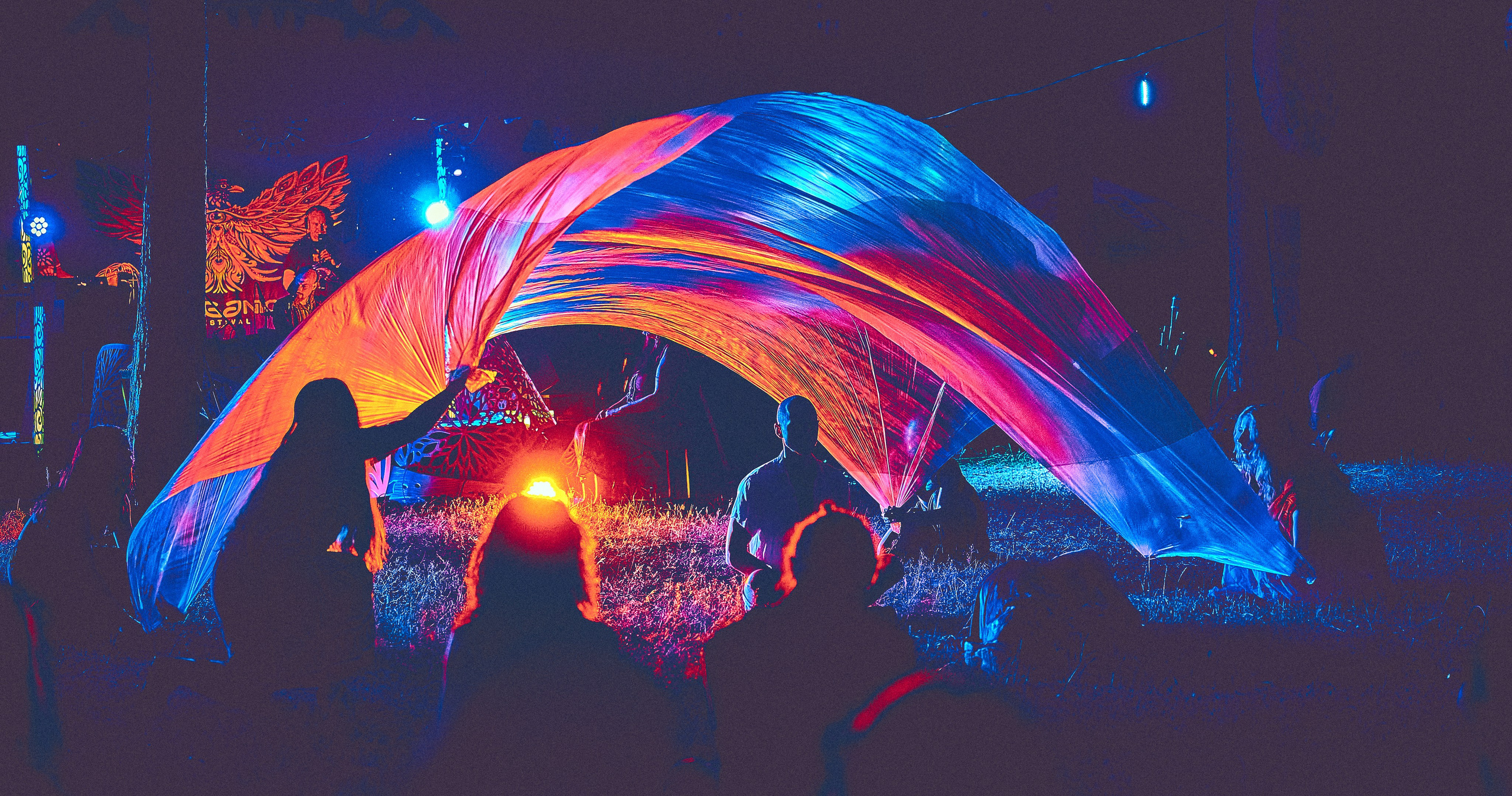 Organic-2025. Andriej Szypilow — Photography & Videography