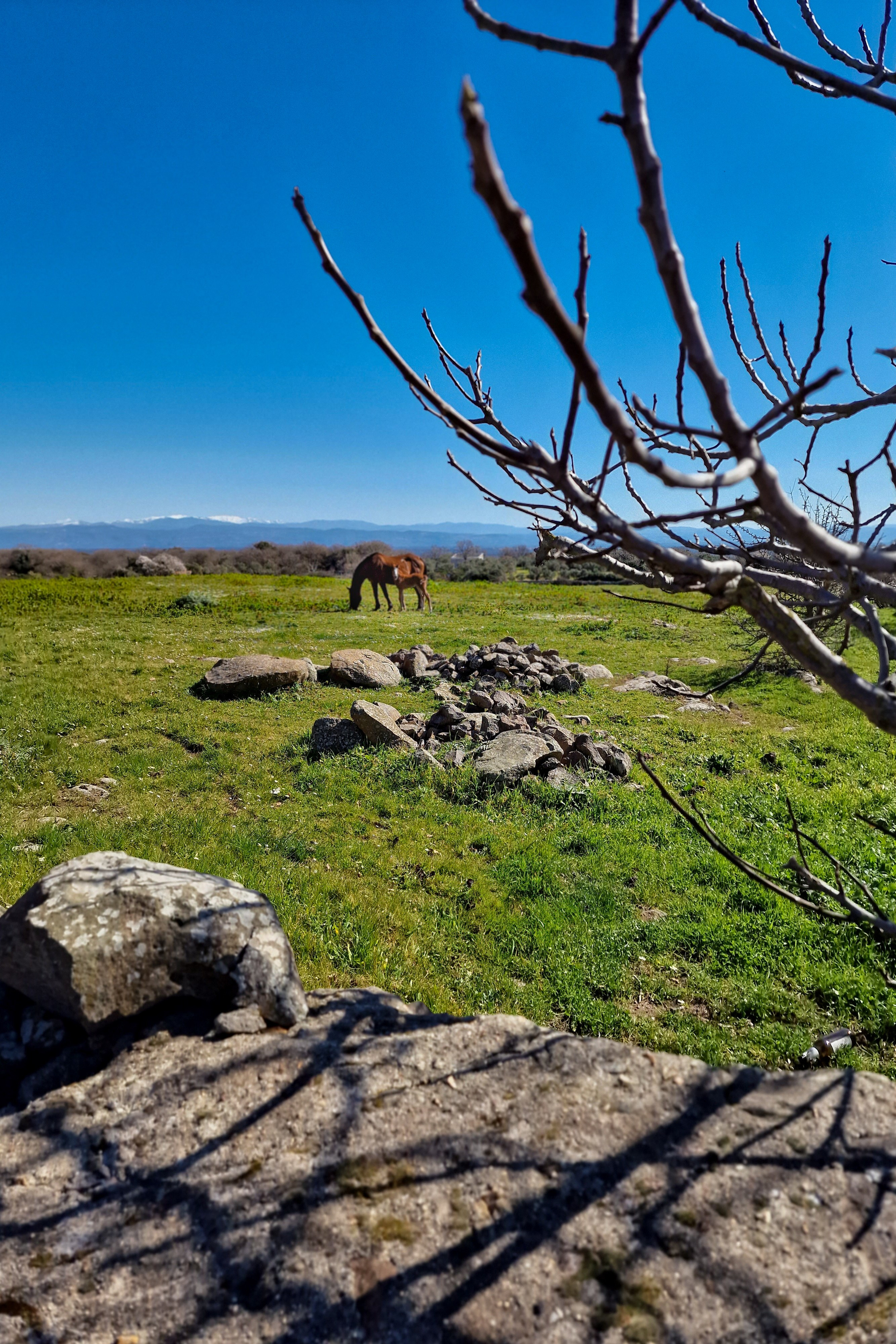 Paesaggi. Olga Manukhina fotografo in Sardegna