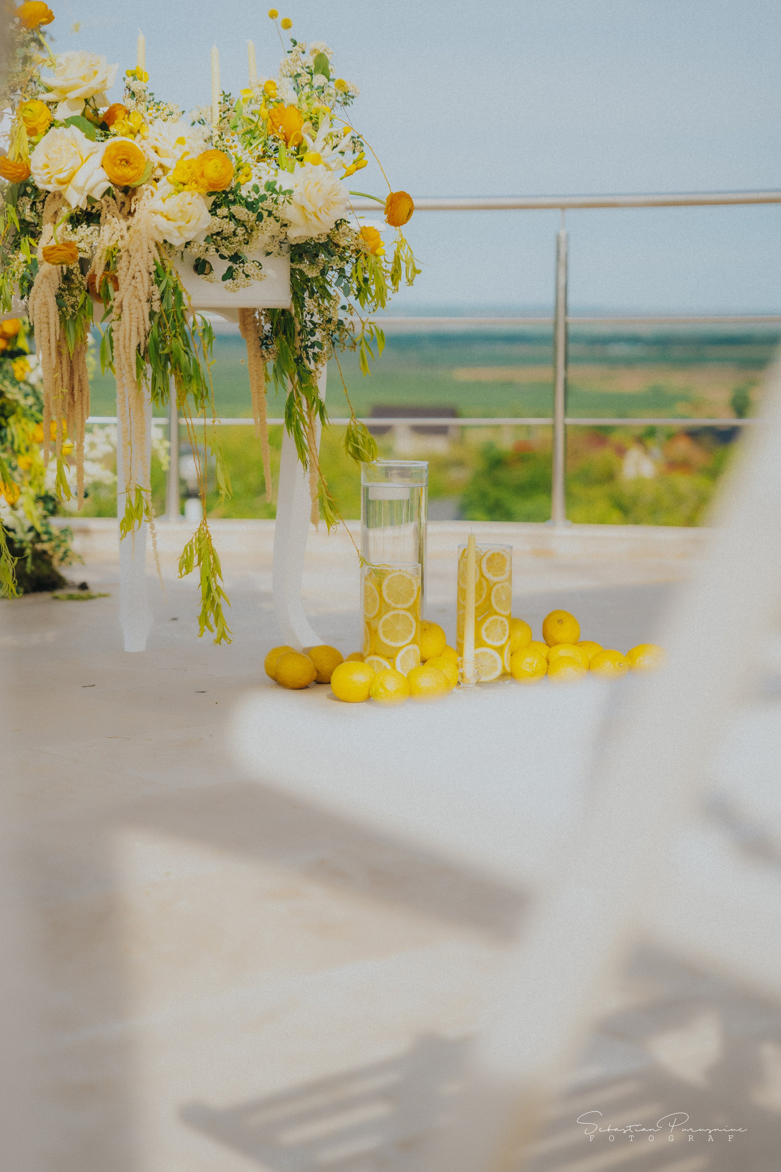 Love & Lemons. Sebastian Purusniuc Fotograf - Iasi