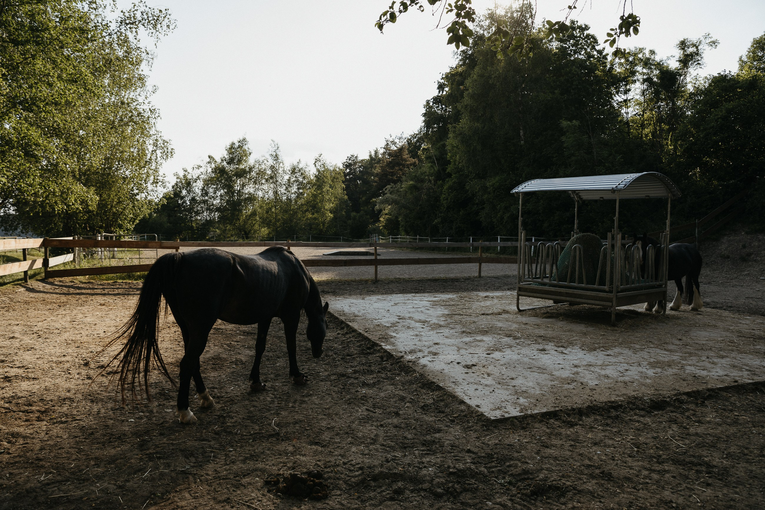 Rustikale Hochzeit & Taufe | Heiligenberg. Hochzeitsfotograf Bodensee & Allgäu | Liliana Berkut