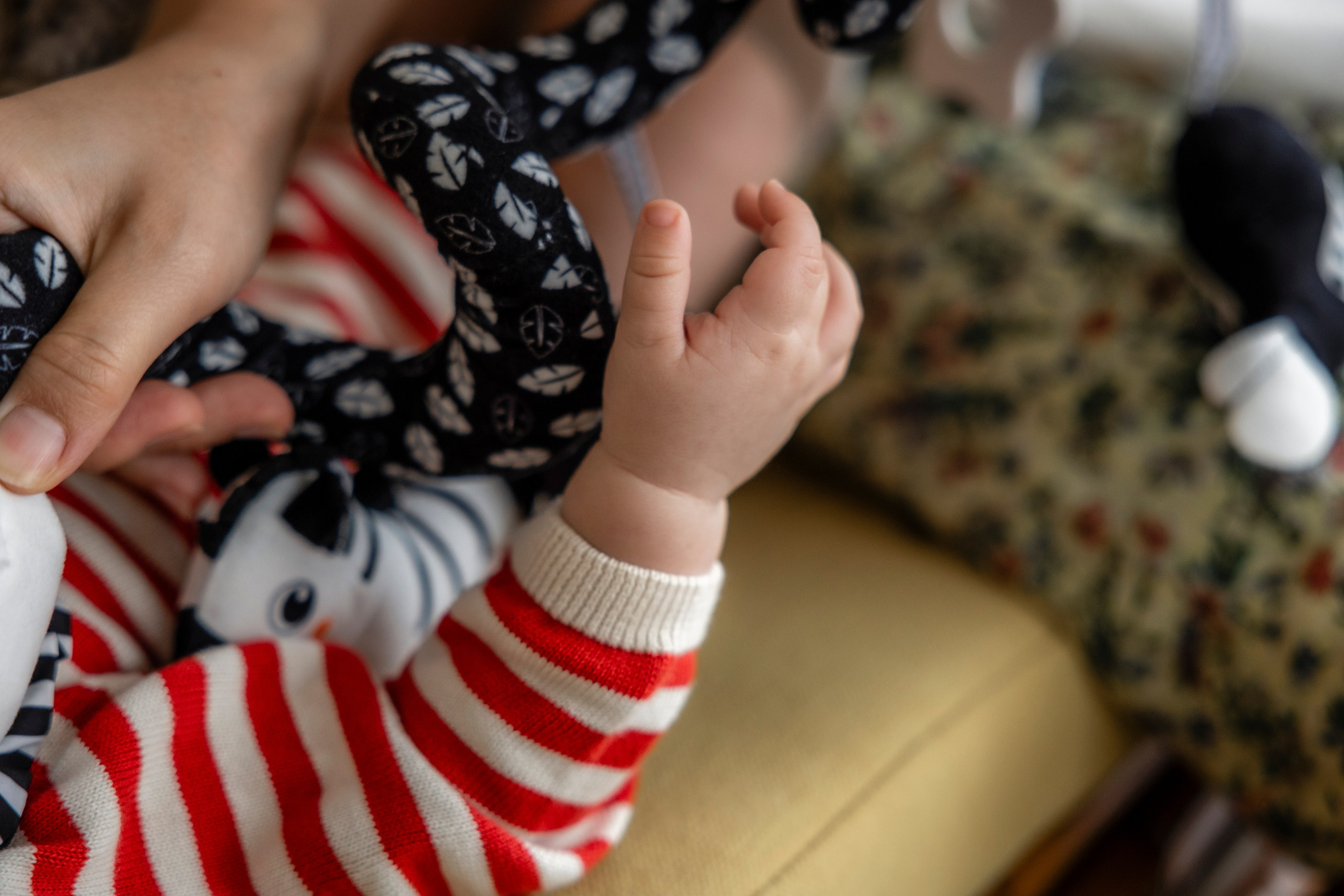 From bump to baby: why at-home family photoshoots in Toulouse are worth It. Евгения Смирнова — фотограф в Тулузе и юго-западной Франции